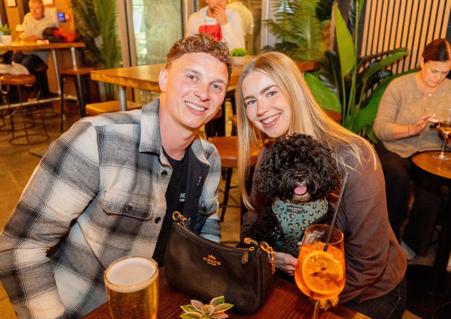 Casual restaurant setting with pet dog and beverages on table.