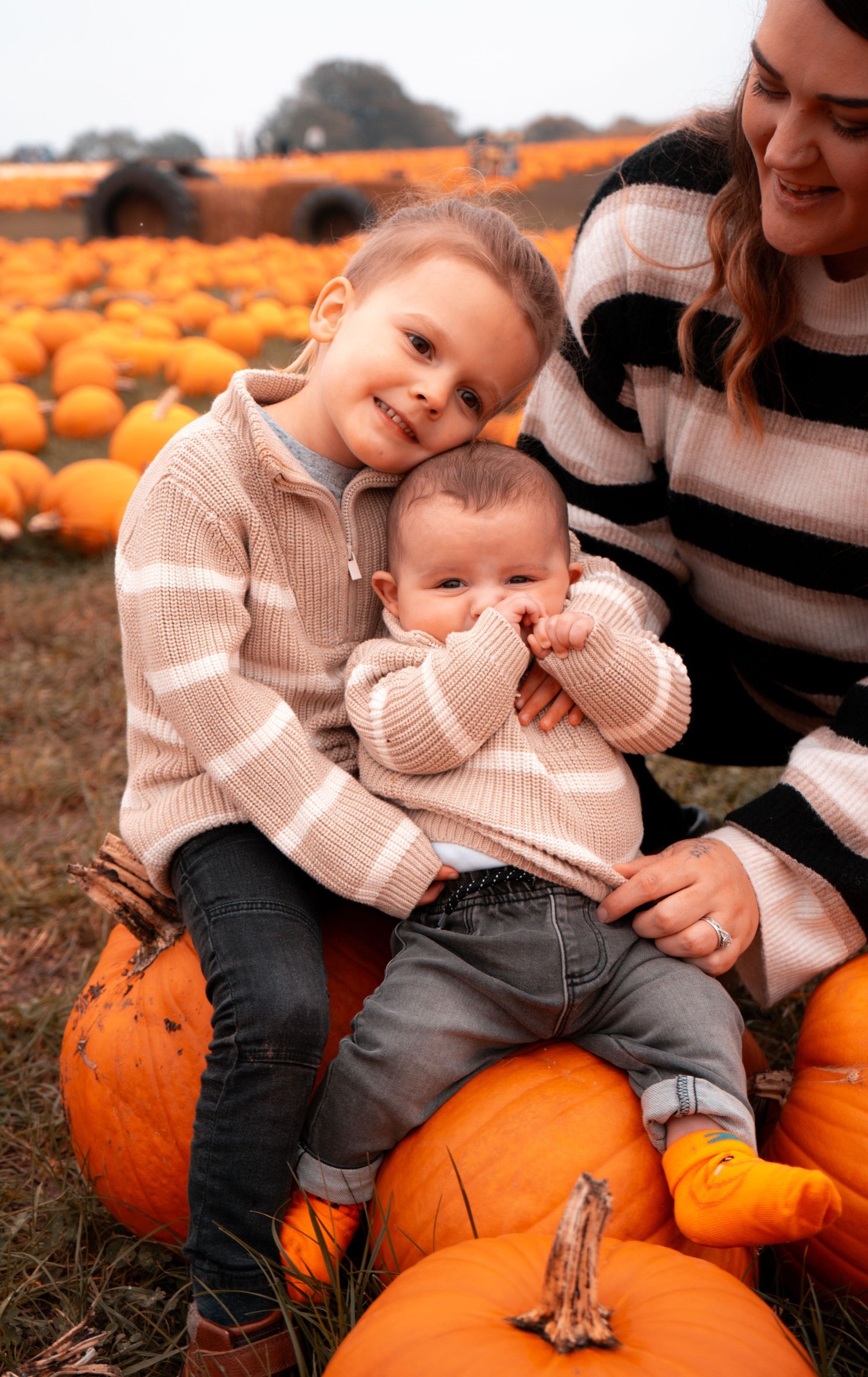 Cozy autumn photoshoot with pumpkins in a field at sunset.