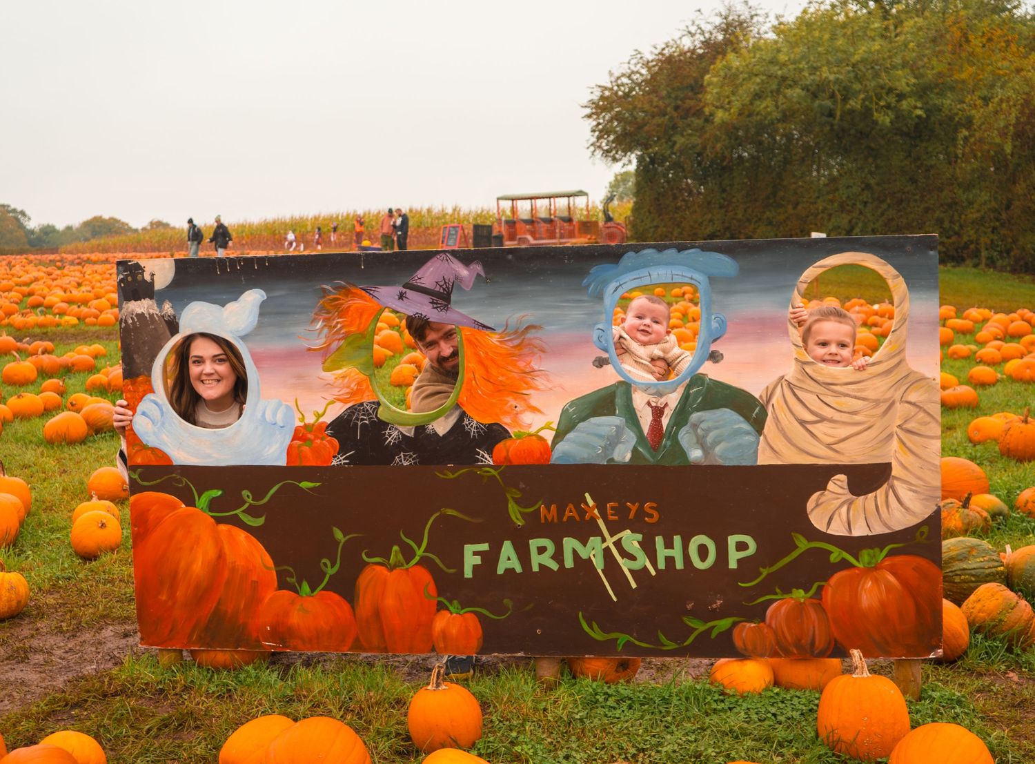 Colorful autumn scene at a farm with rows of orange pumpkins and a rustic sign.