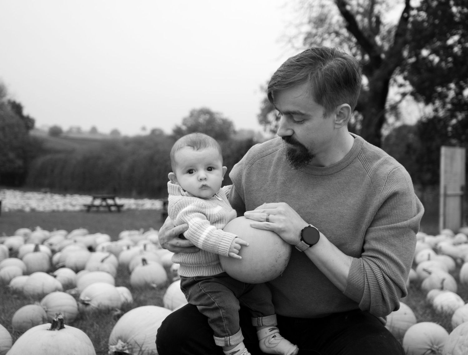 Family enjoying time together at a pumpkin patch with white pumpkins in the background.