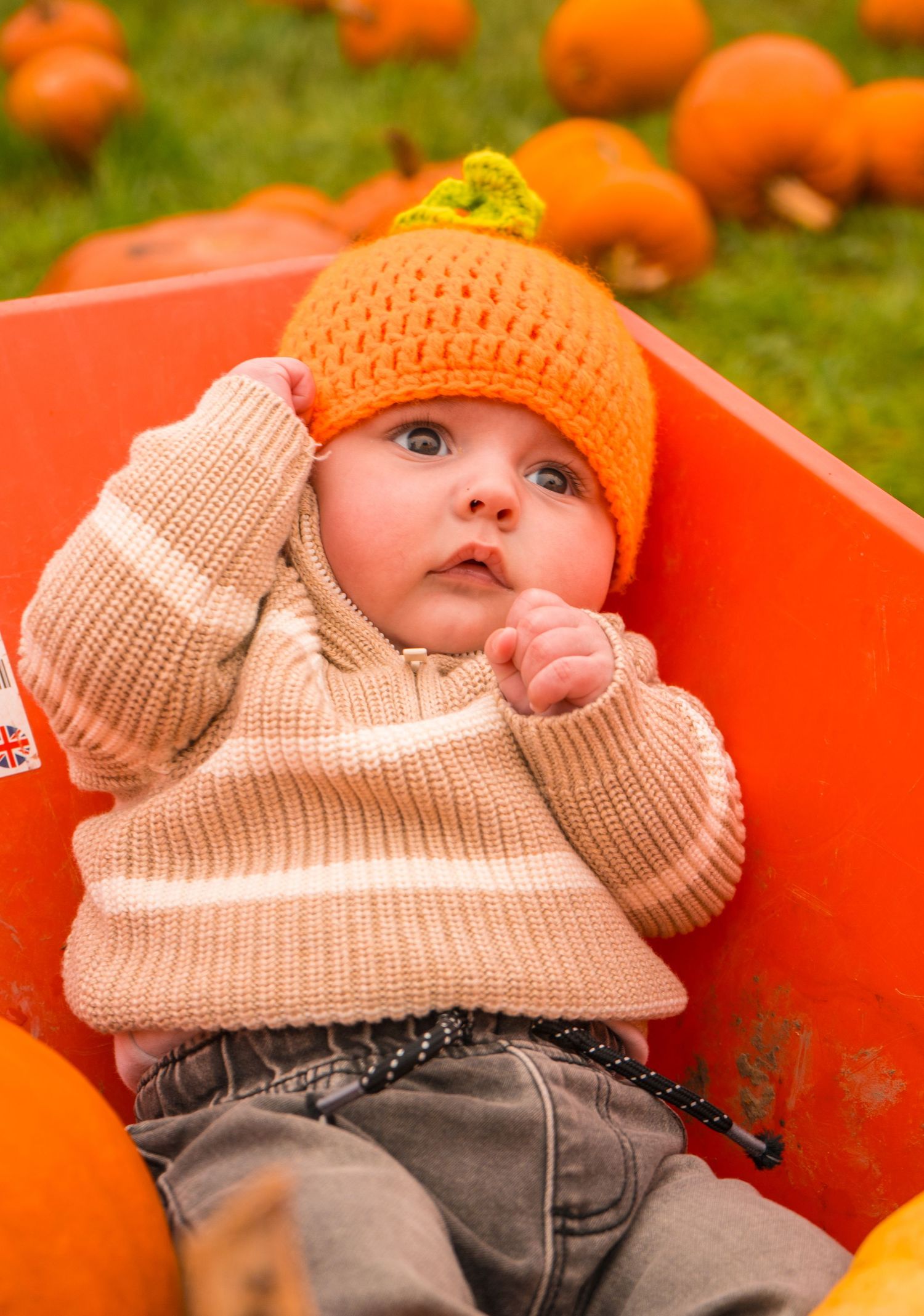 Baby wearing orange pumpkin hat lies in red wagon surrounded by autumn pumpkins.