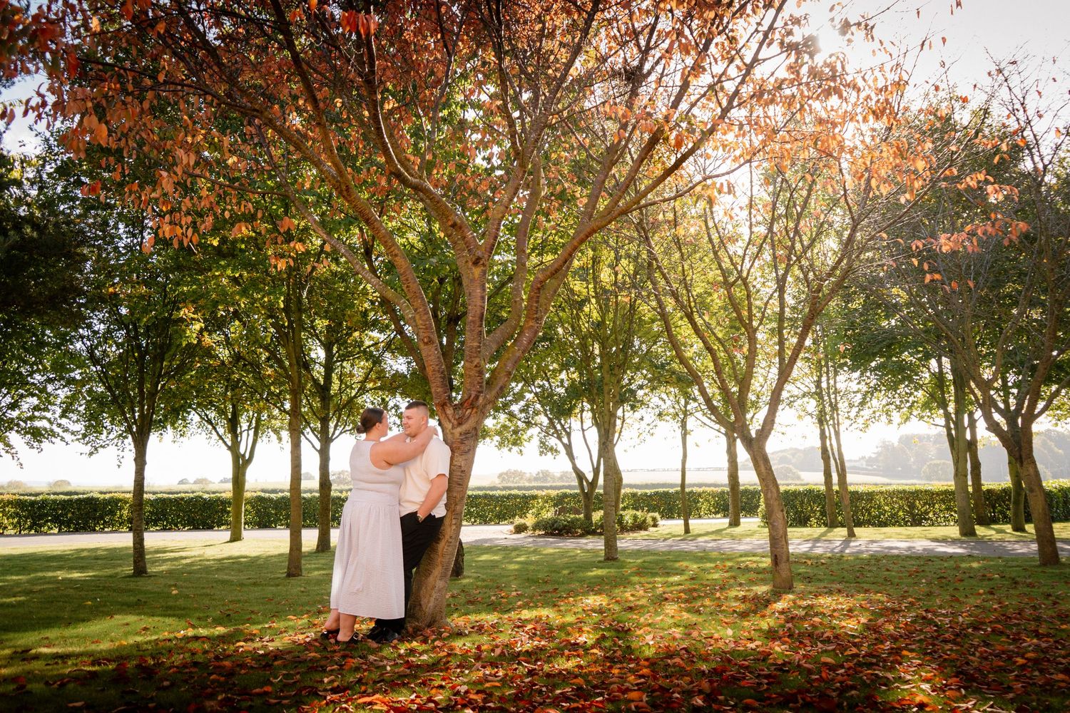 Romantic autumn scene with couple walking among trees with golden leaves.