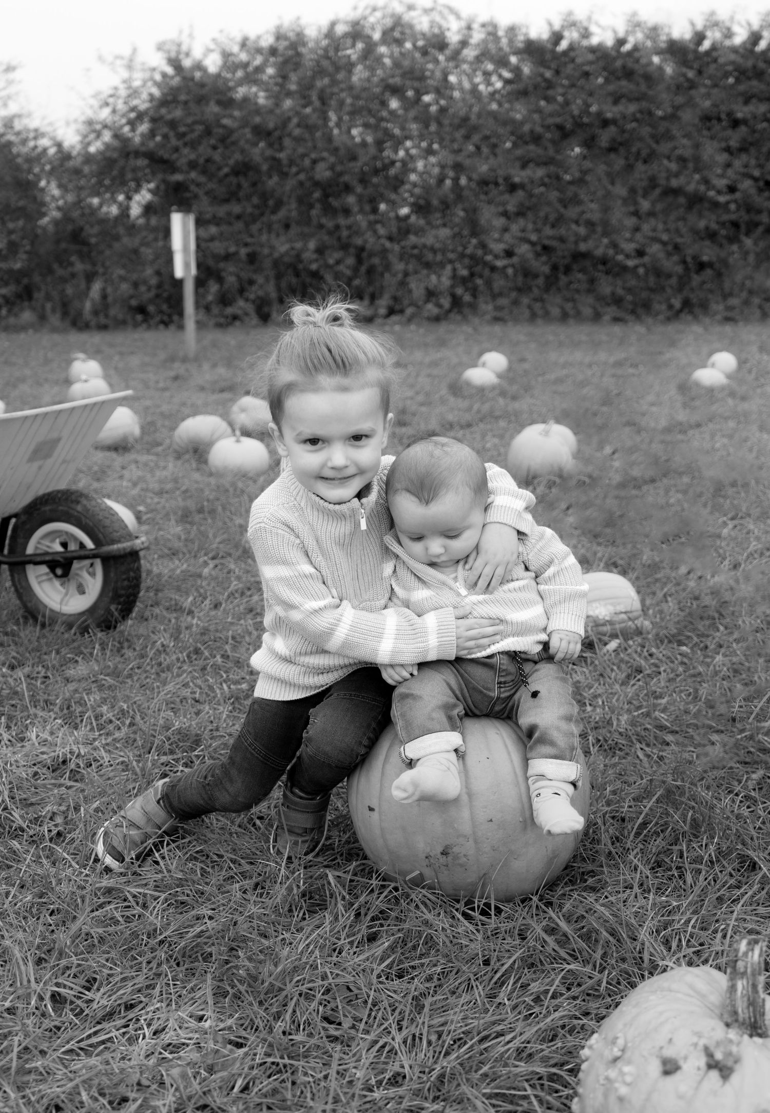 Black and white photos of a small child playing with pumpkins in a grassy field.