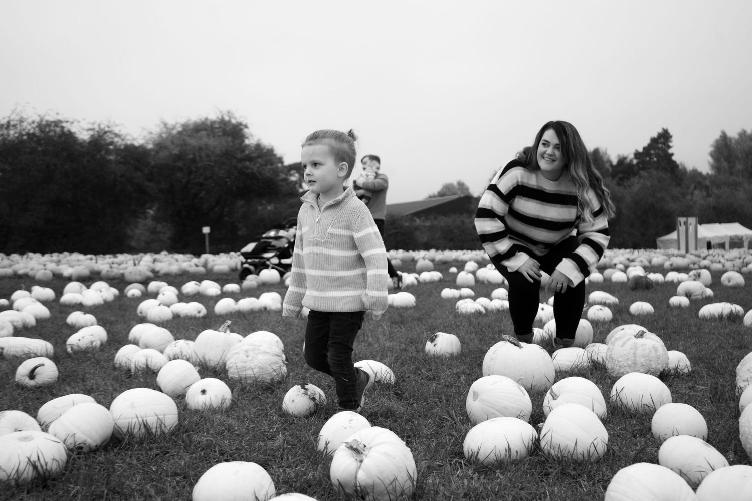 People walking through a field of white pumpkins on an overcast day.