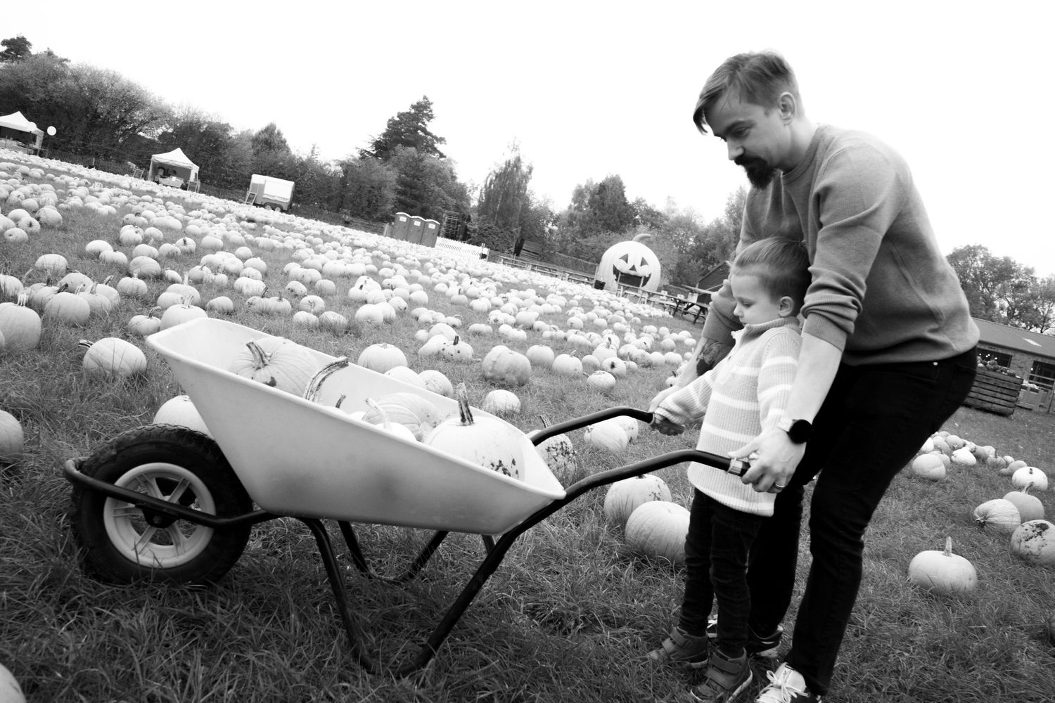 Black and white series of candid moments at a pumpkin patch during fall.