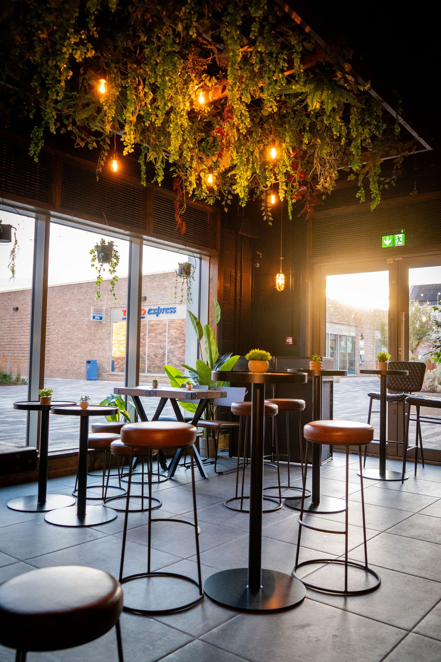 Modern cafe interior with hanging plants, round tables, and natural light streaming through large windows.