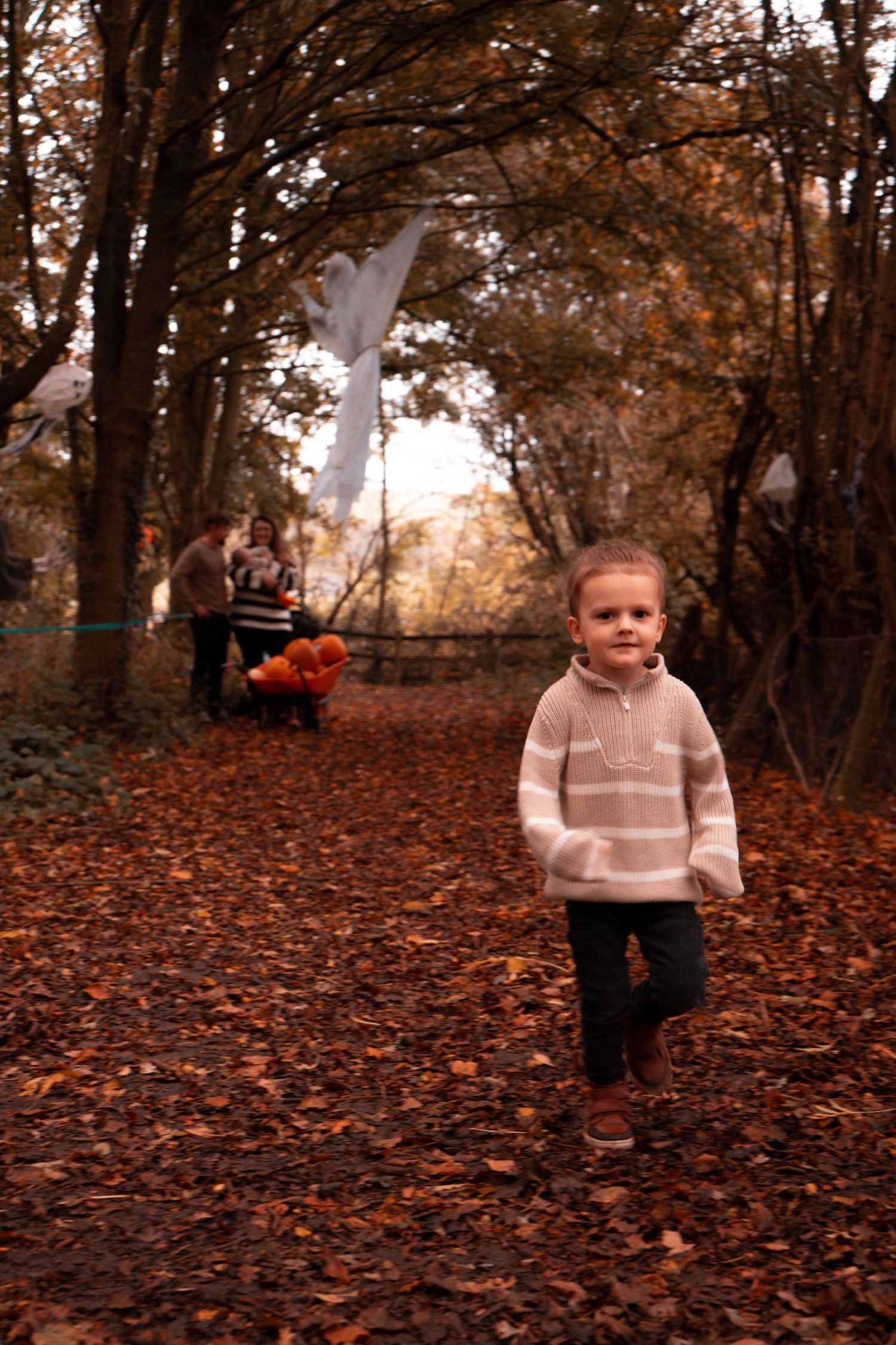 Warm-toned forest photography with autumn leaves carpeting the ground beneath tall trees.