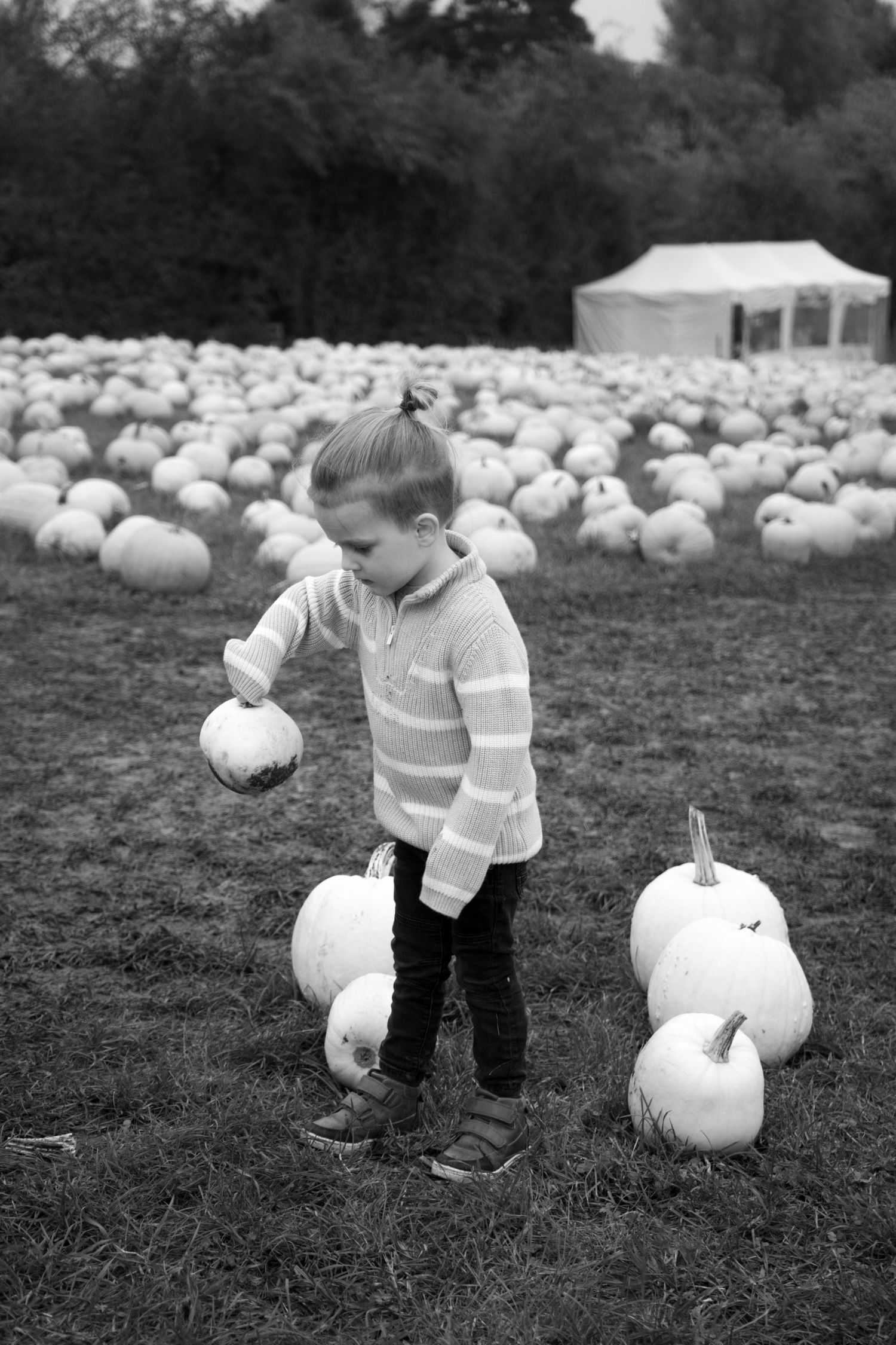 Child exploring white pumpkins in a field, captured in black and white.