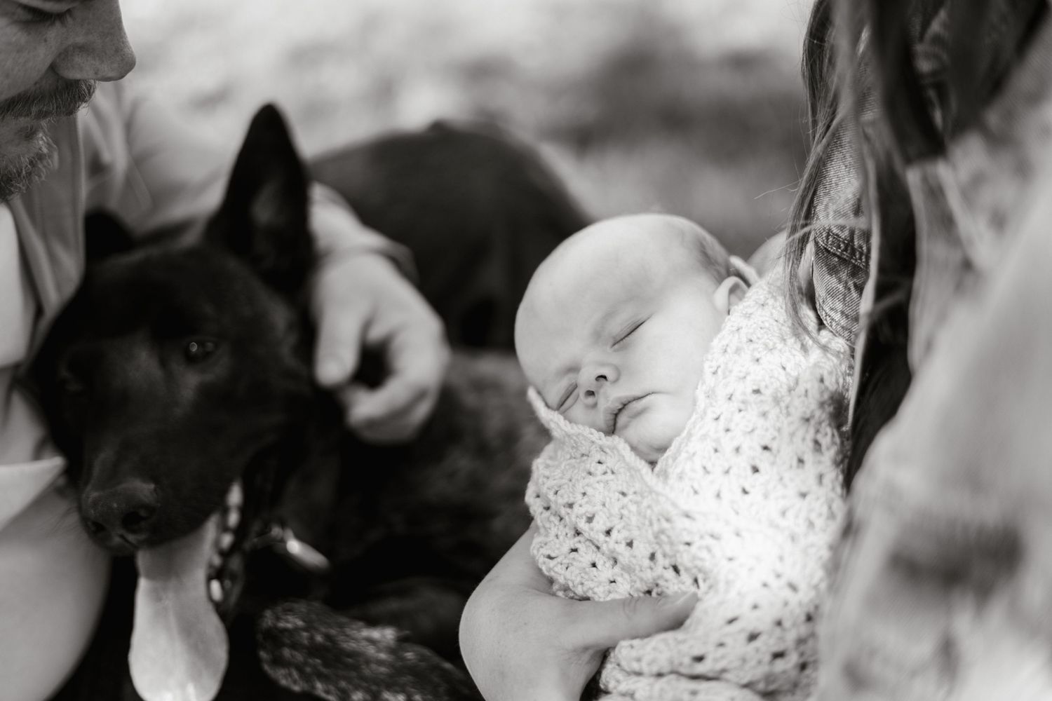 Black dog and infant sharing a sweet moment together during an outdoor family photoshoot.
