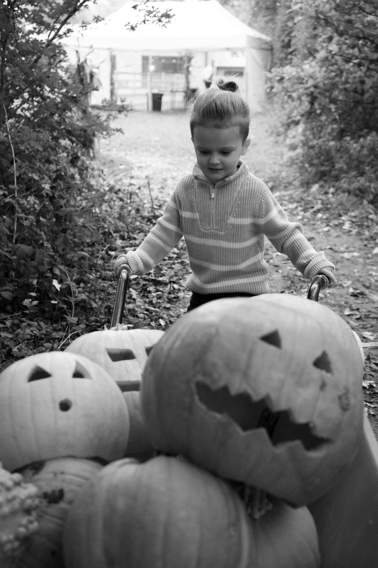Carved jack-o'-lanterns with spooky faces sit in a row.