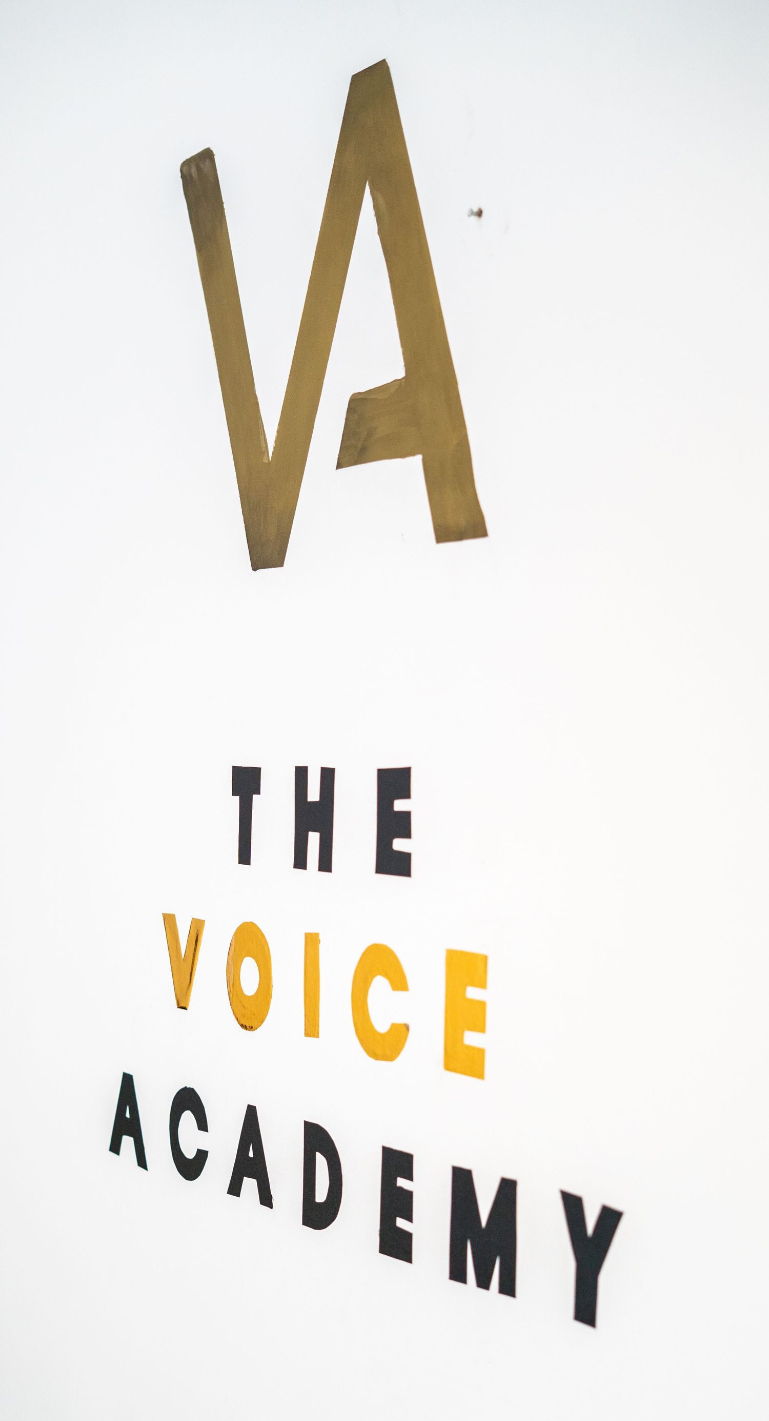 Modern typographic wall art showing 'THE VOICE ACADEMY' text in black and gold letters.