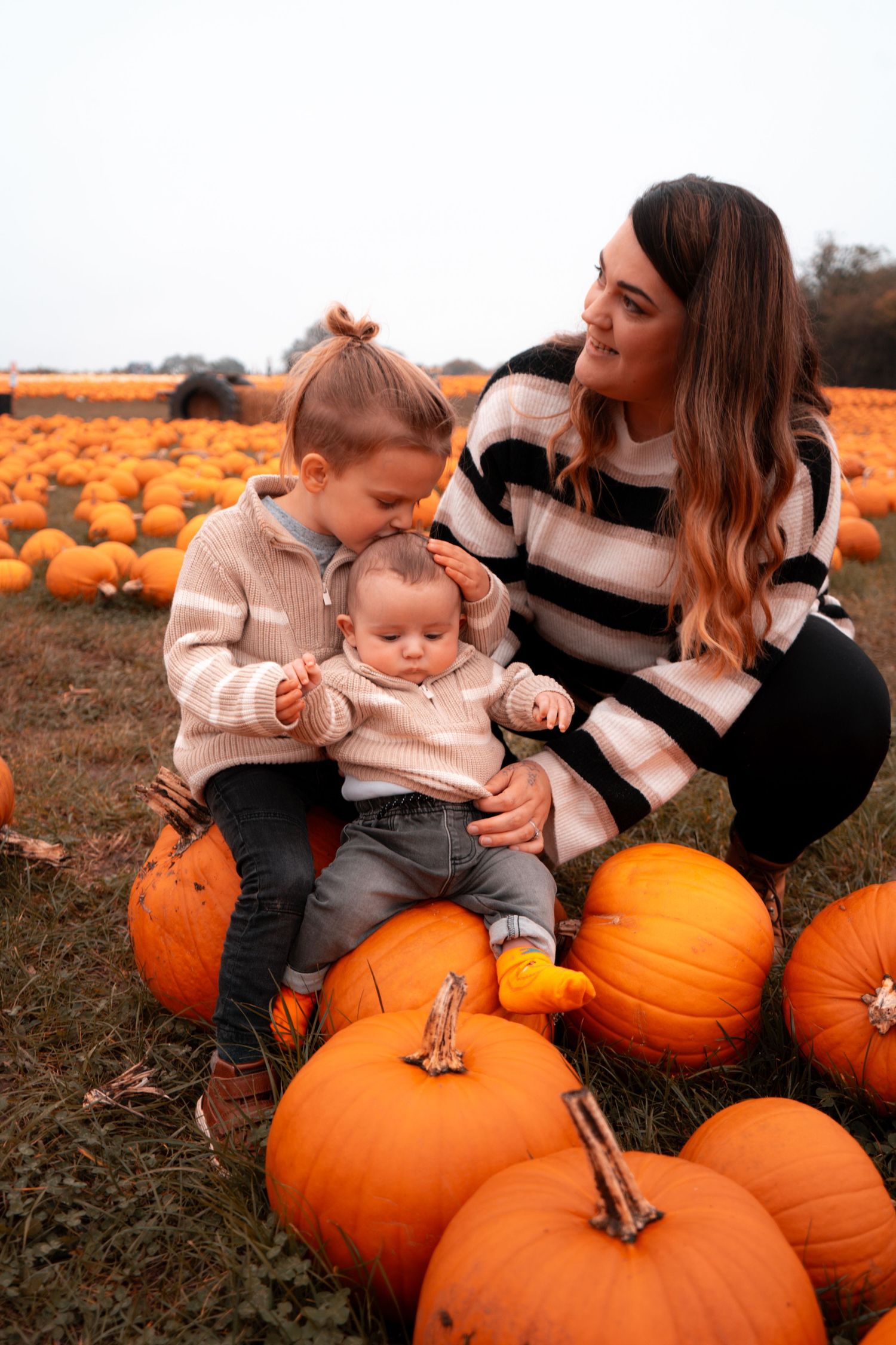 Sweet autumn moments shared among pumpkins in a field during golden hour.