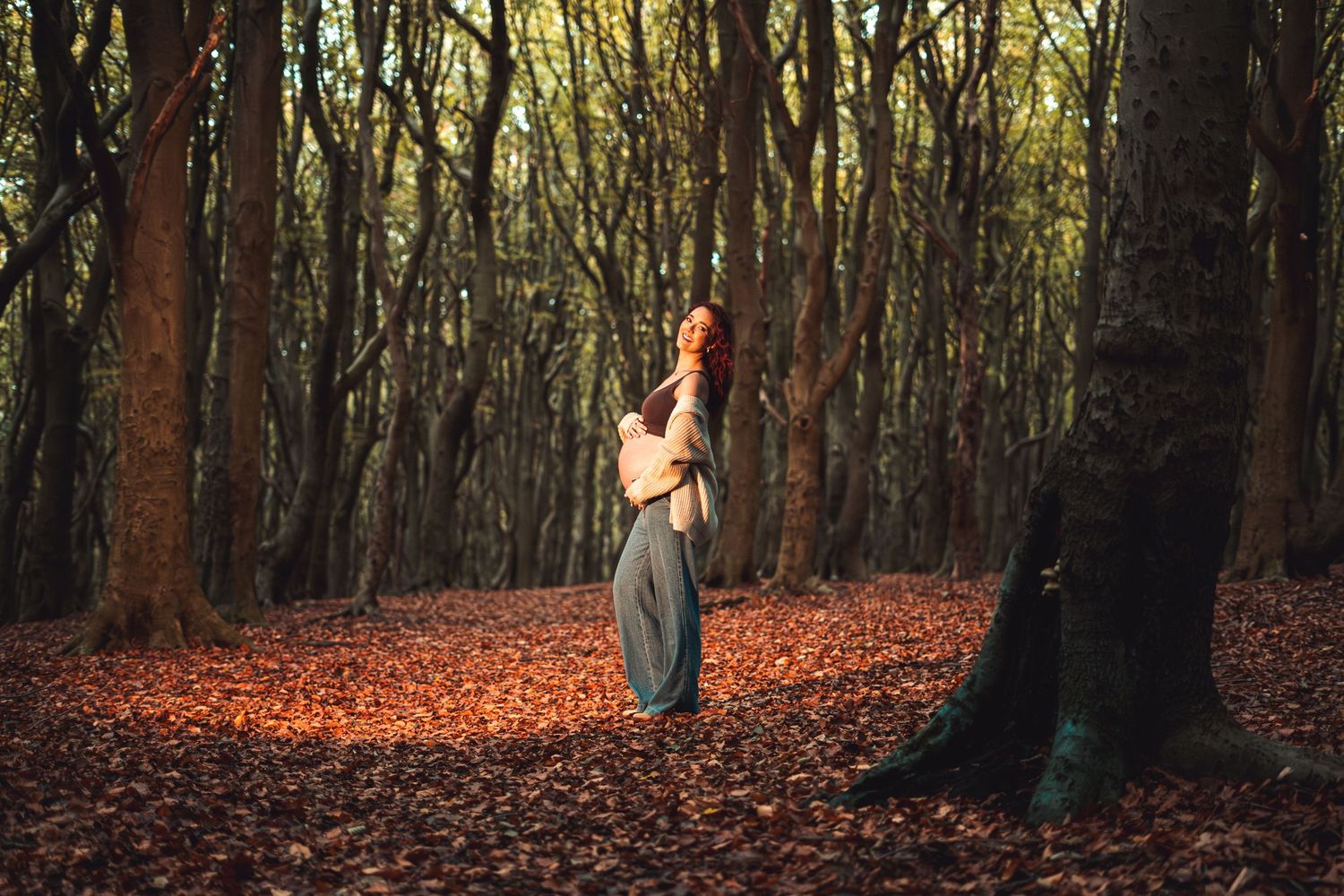 Autumn forest scene with golden sunlight filtering through trees and fallen leaves covering the ground.