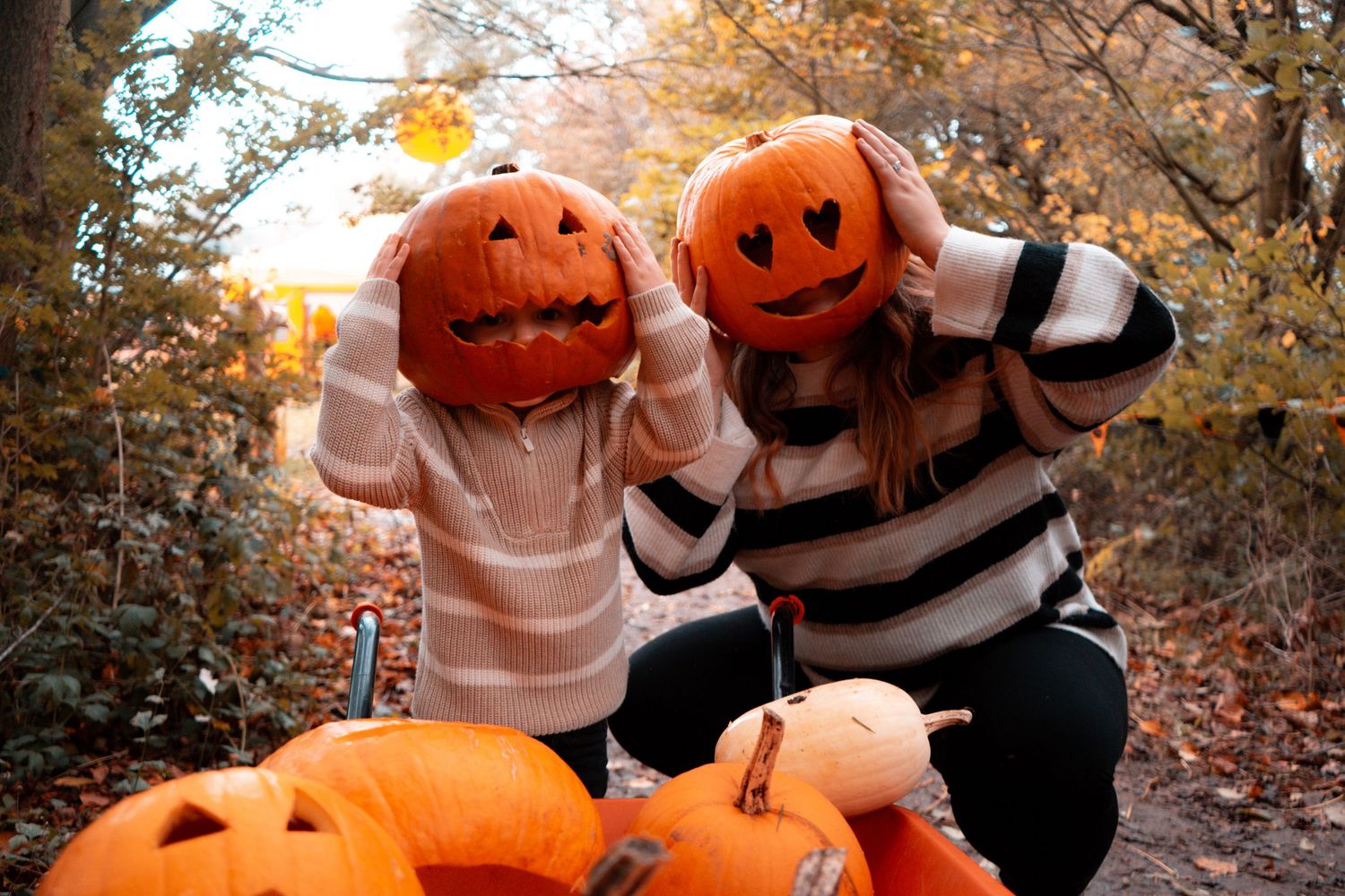 Jack-o'-lanterns displayed in an autumn forest setting with fallen leaves.