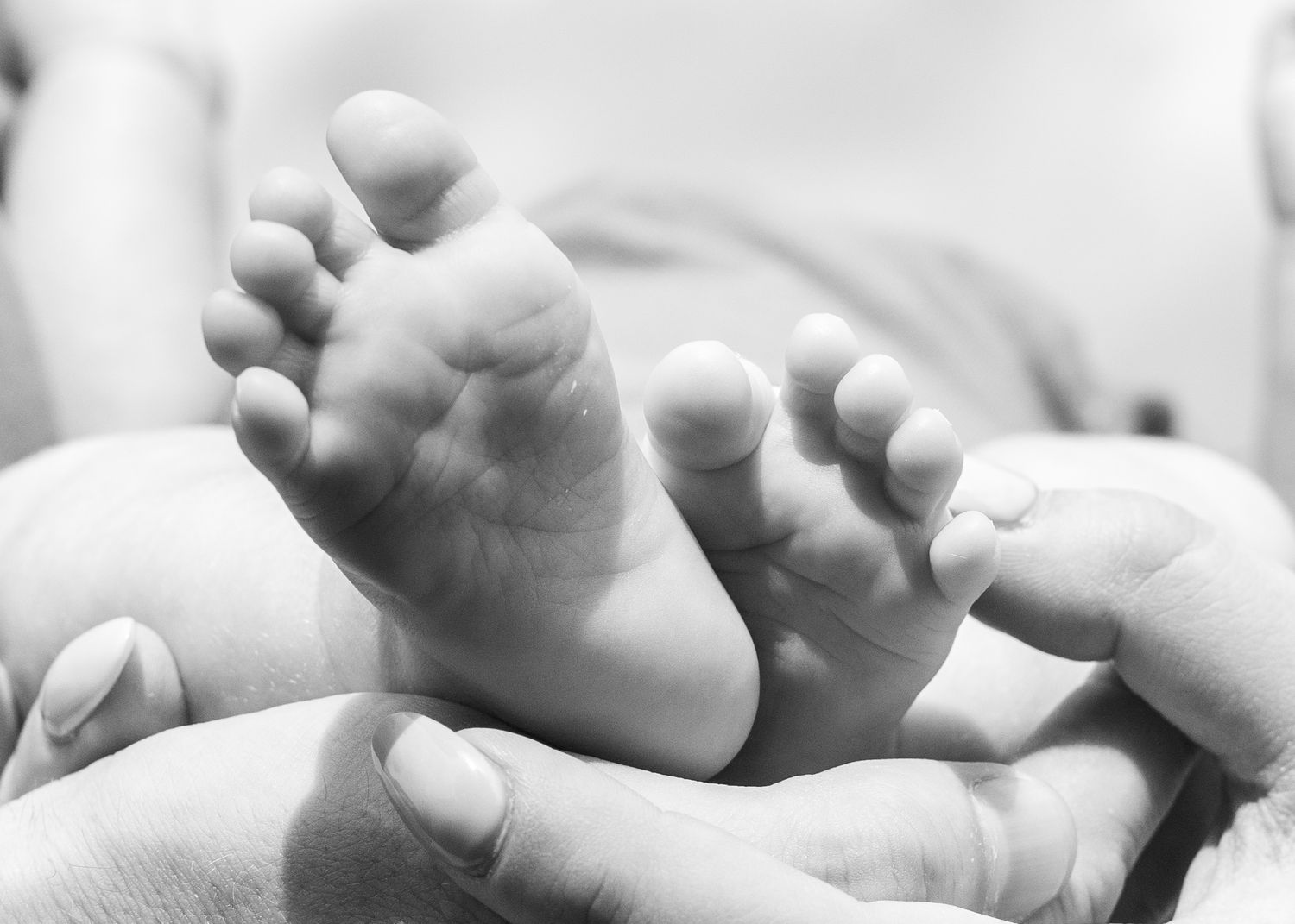 Black and white image of tiny newborn feet cradled in loving hands.