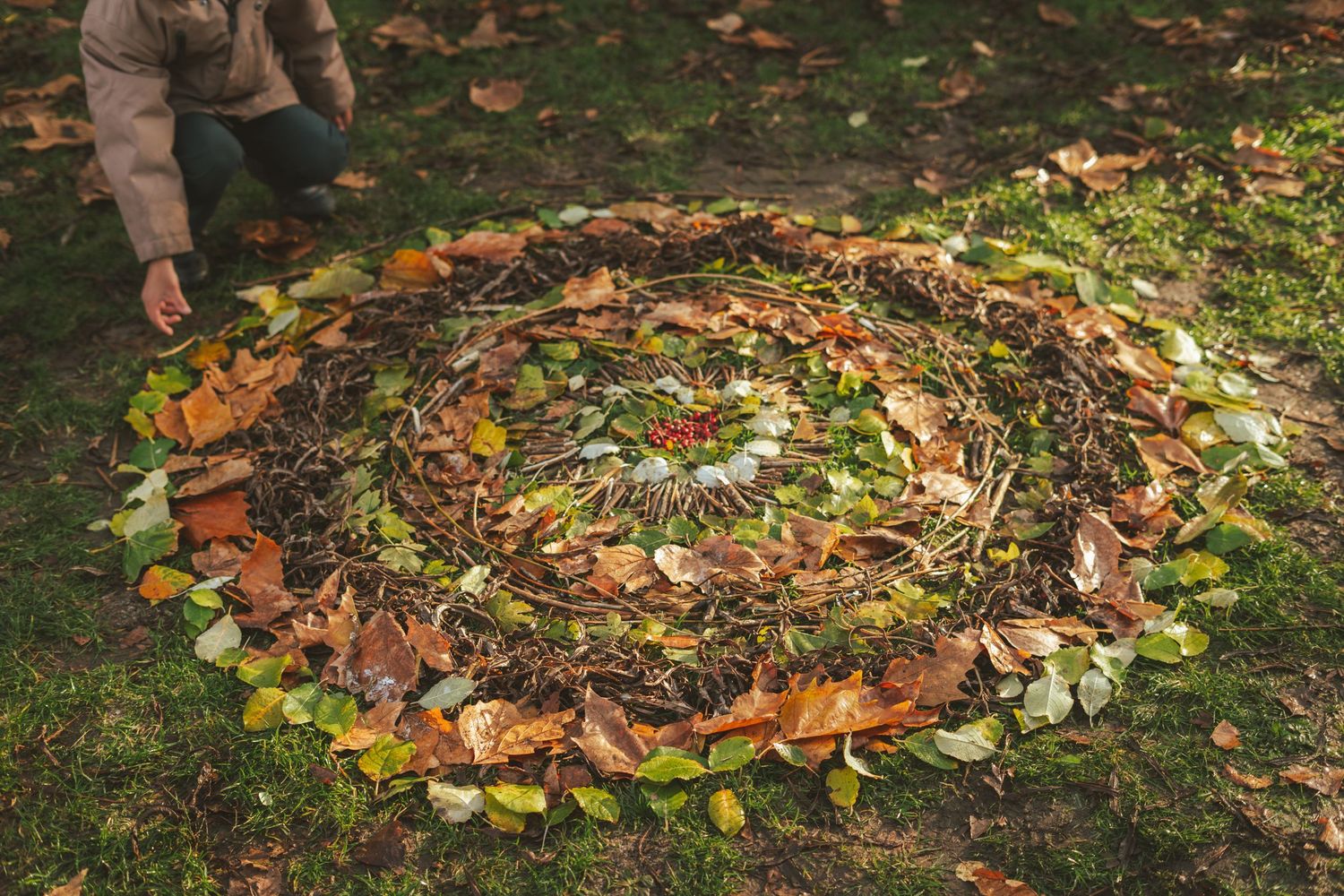 Colorful autumn leaves arranged in circular patterns on grass.