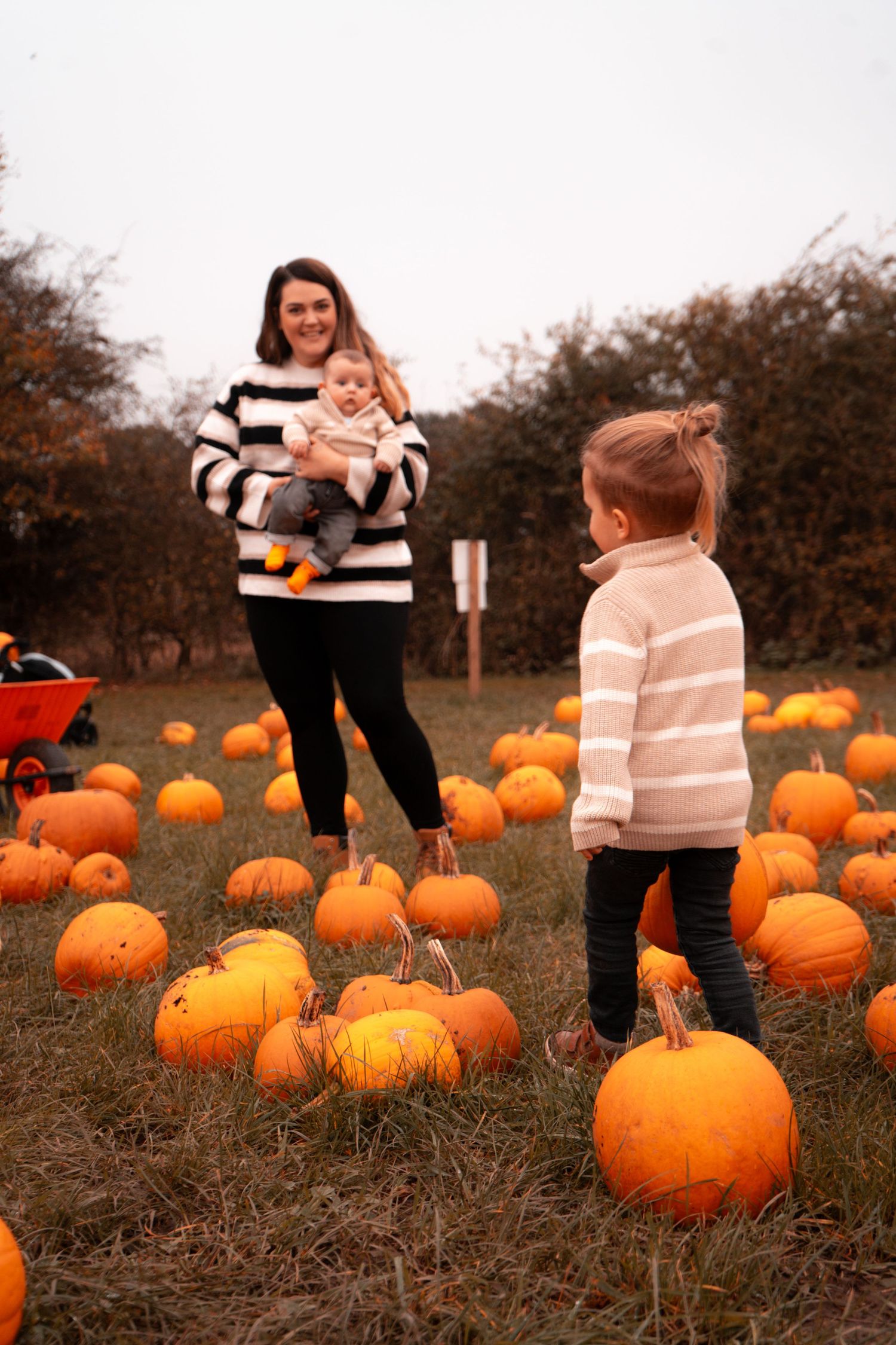 Family exploring a pumpkin patch with scattered orange pumpkins in an autumn field.