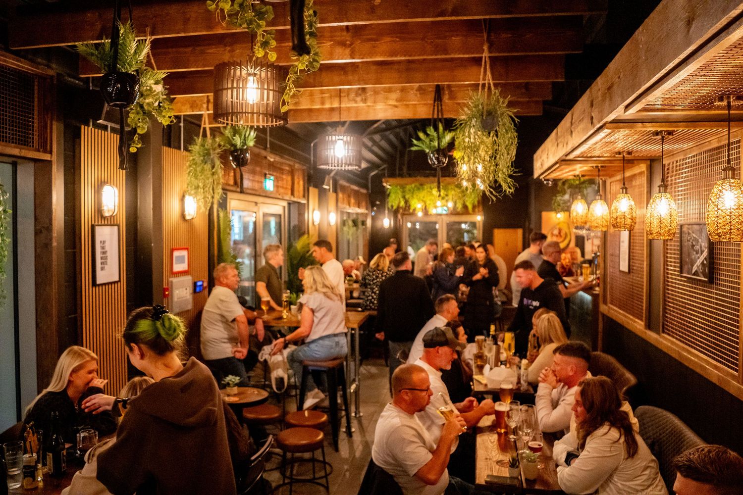 Warm and cozy pub interior filled with patrons enjoying drinks under ambient lighting and hanging plants.