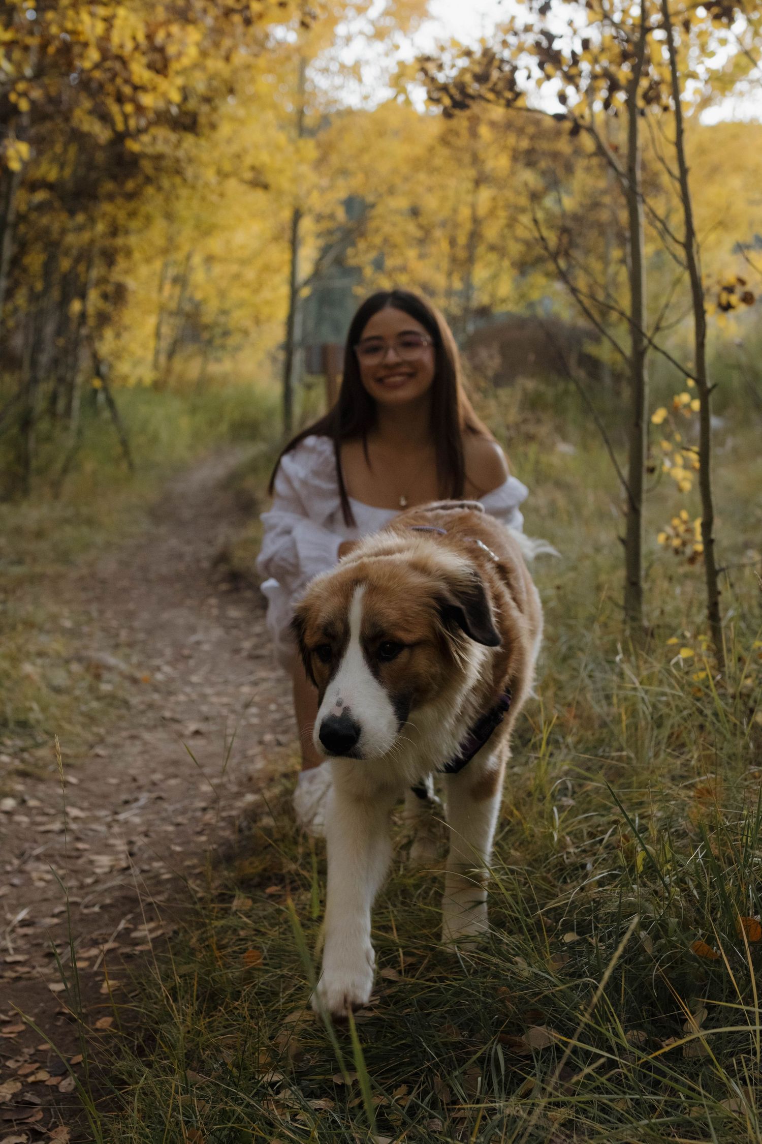 Woman walking with her dog along a forest trail surrounded by golden autumn foliage during a  portrait session