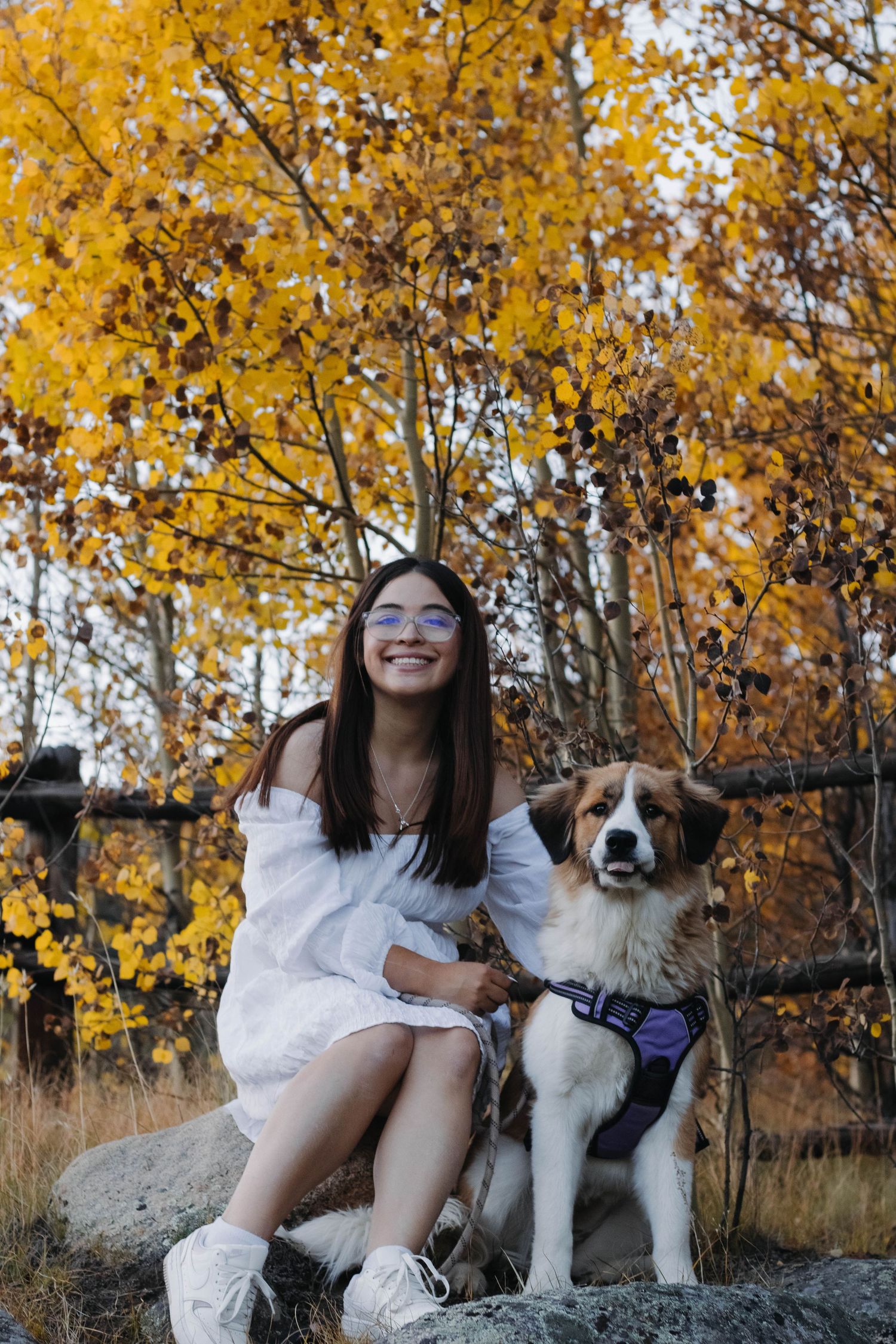 Woman sitting with her dog among golden autumn trees during a natural and relaxed portrait photography session