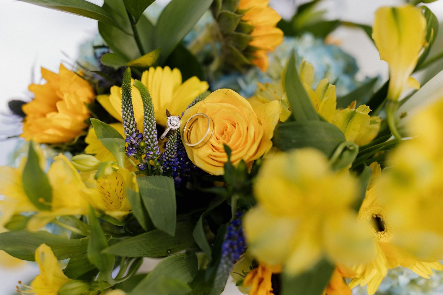 Decoration, ring, flowers, wedding