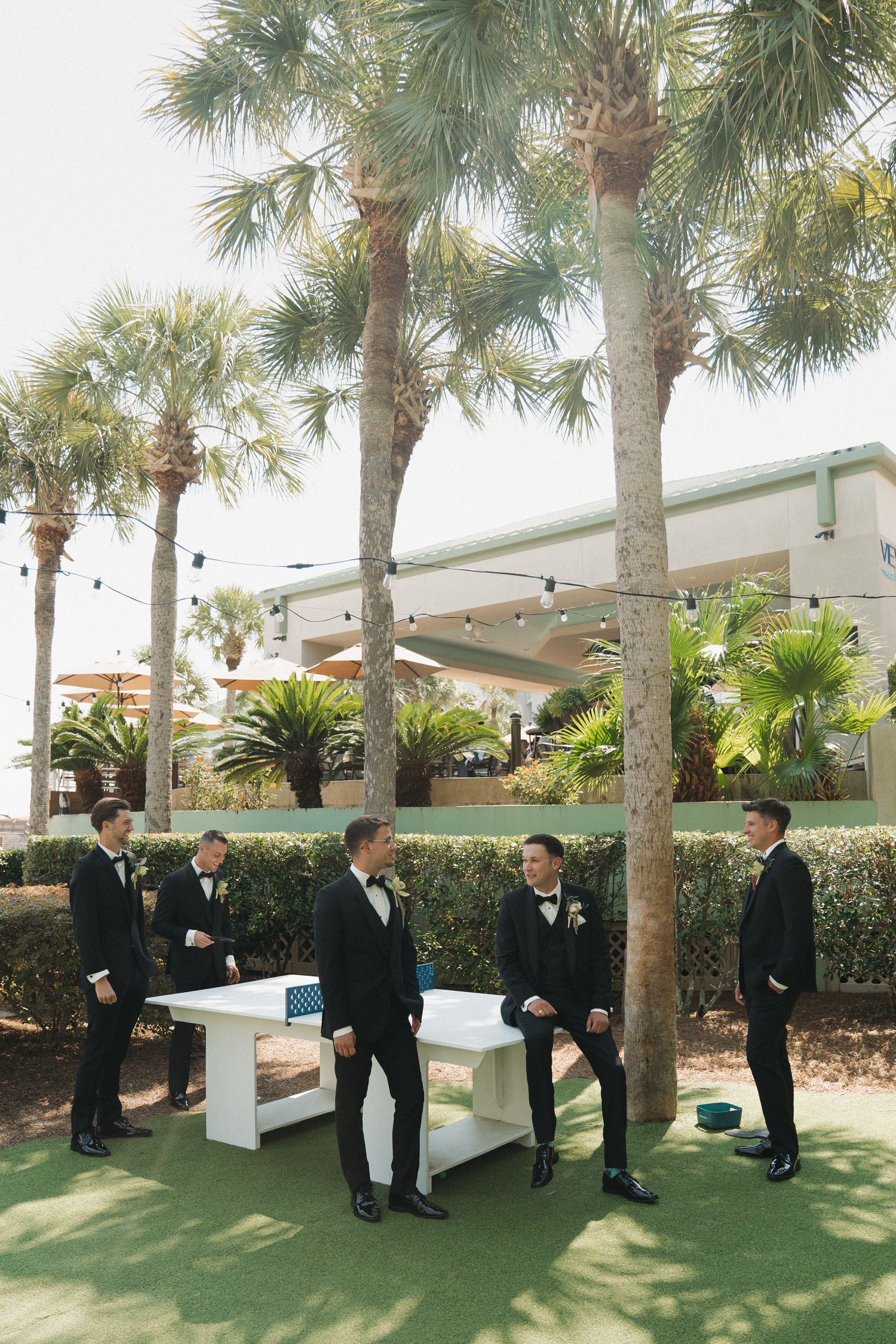 Groomsmen in black tuxedos gather around a white bench outdoors near palm trees at a coastal wedding venue.