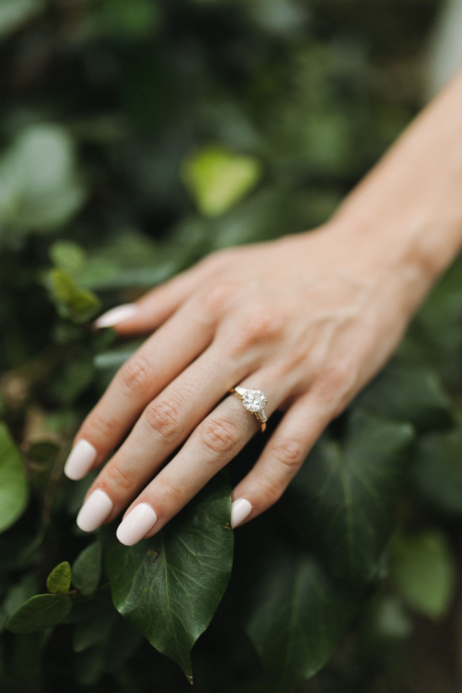 Close-up of elegant diamond engagement ring on womans hand over green leaves.