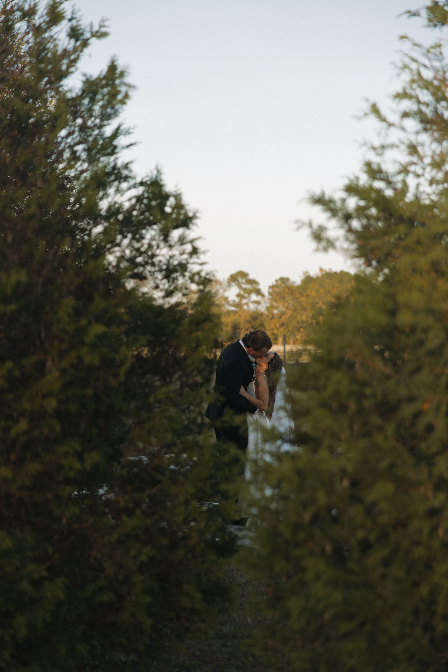 Bride and groom share a romantic kiss along a lush green tree-lined path at golden hour.