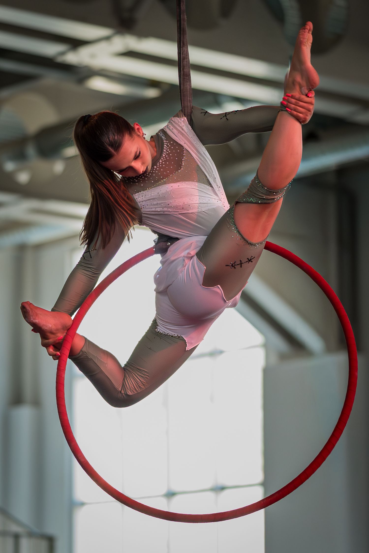Female aerialist performs acrobatic routine on red aerial hoop wearing white and grey costume indoors.