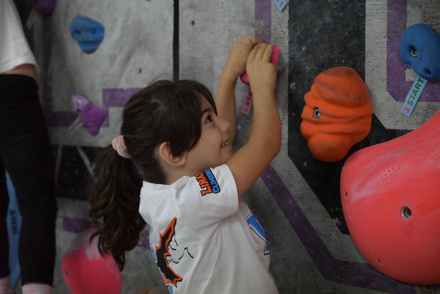Young girl with ponytail climbing colorful holds on an indoor bouldering wall.