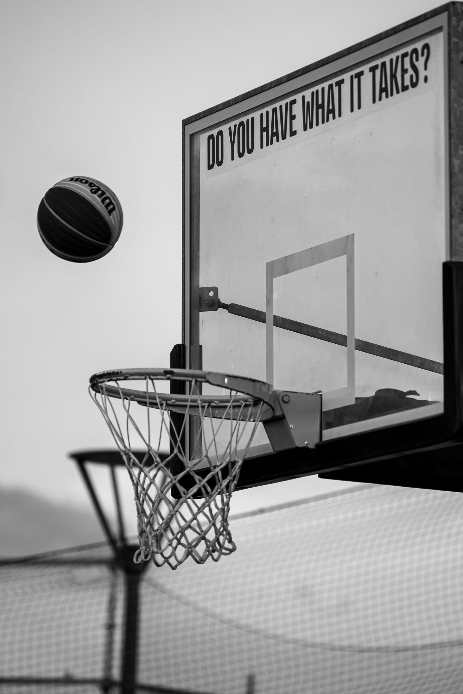 Black and white photo of a basketball mid-air above an outdoor hoop with a backboard reading Do You Have What It Takes.