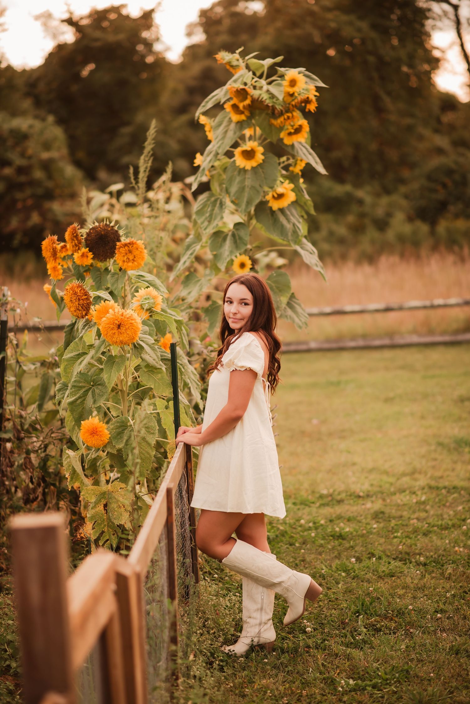 A dreamy sunset photoshoot in a sunflower field with rustic wooden posts and warm golden lighting.