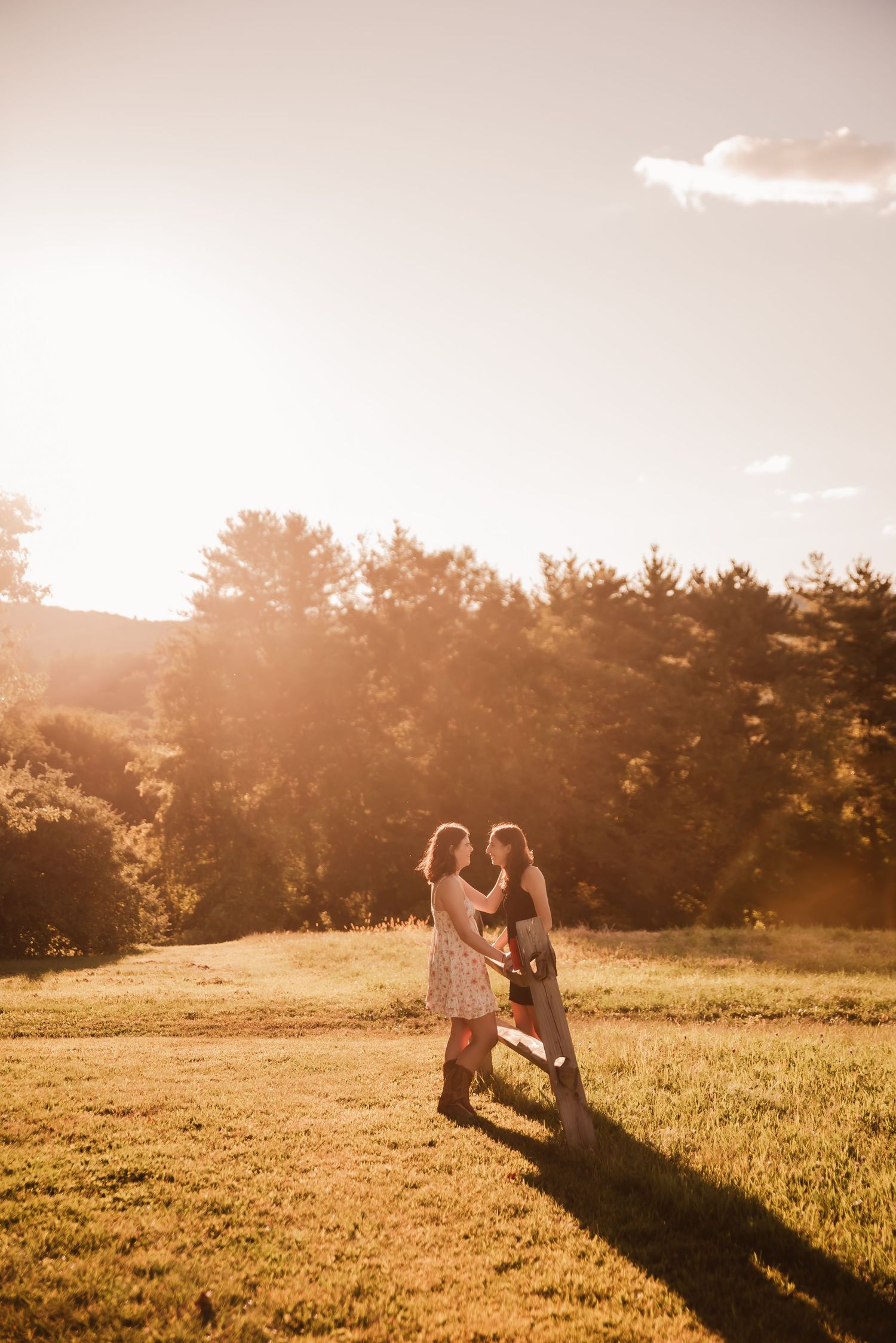 Two people embrace in a golden meadow at sunset with sunlight streaming through pine trees in the background.