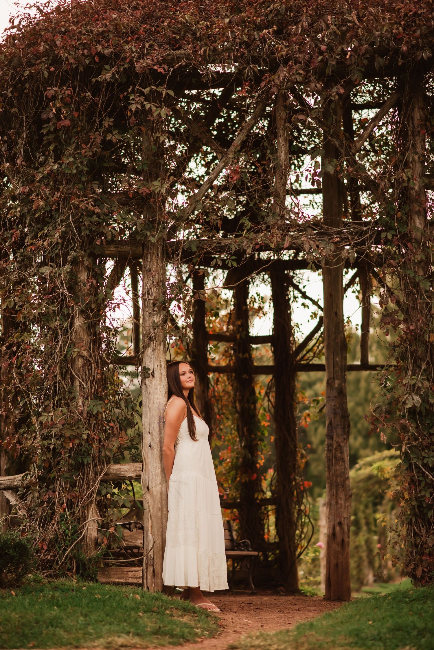 A serene outdoor setting with sunlit trees and wooden structures creating a natural archway through autumn foliage.