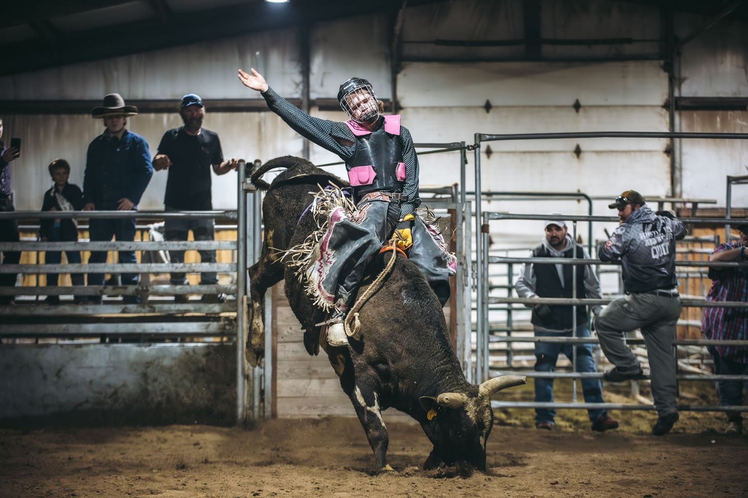 A bull rider in pink and black attire holds on during an intense indoor rodeo competition.