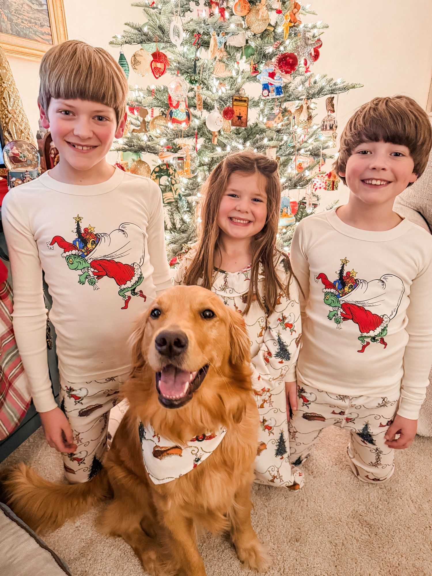 Professional pet photography near Matthews, NC.