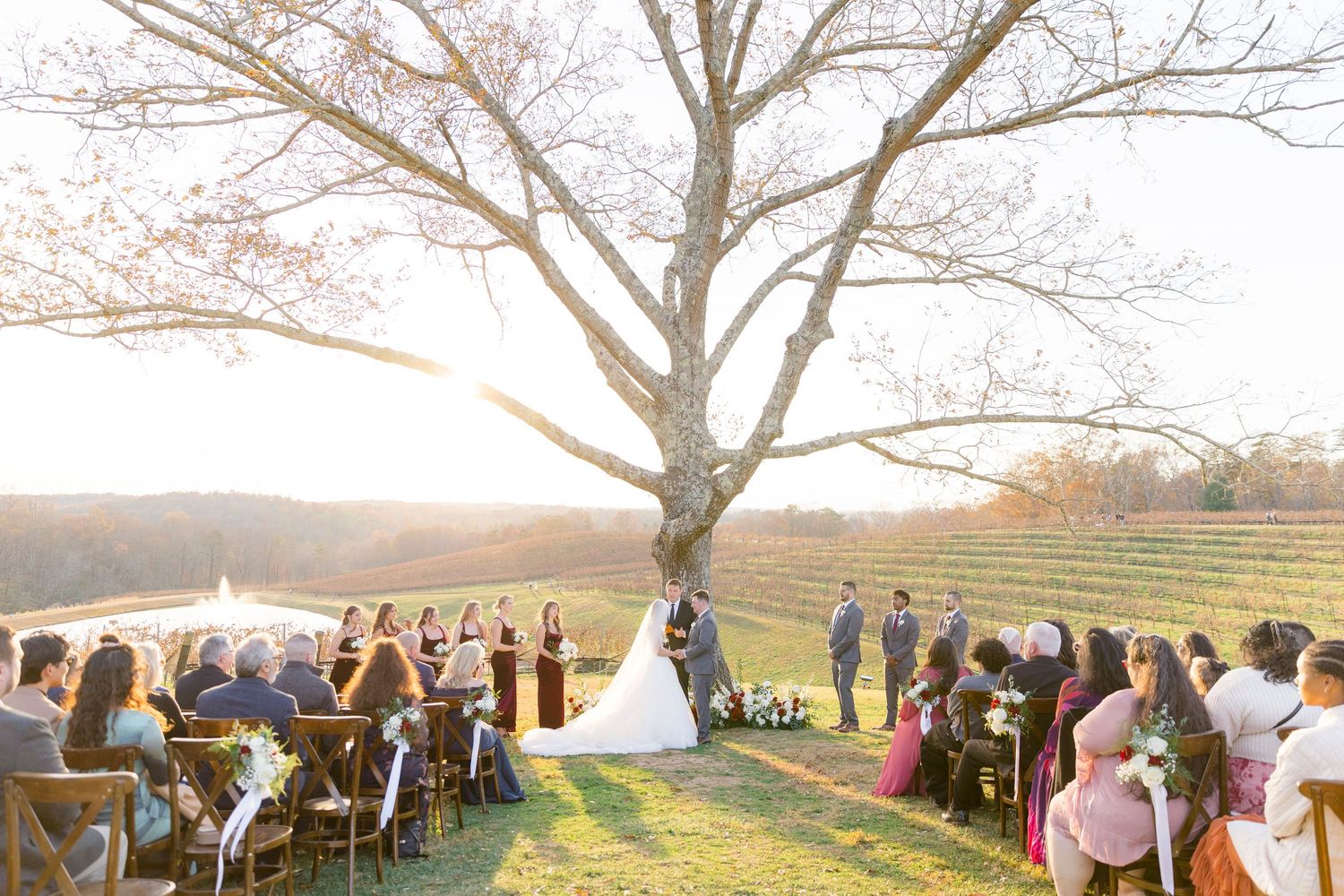 Outdoor wedding ceremony under a large tree at golden hour with vineyard backdrop and guests seated on wooden chairs.