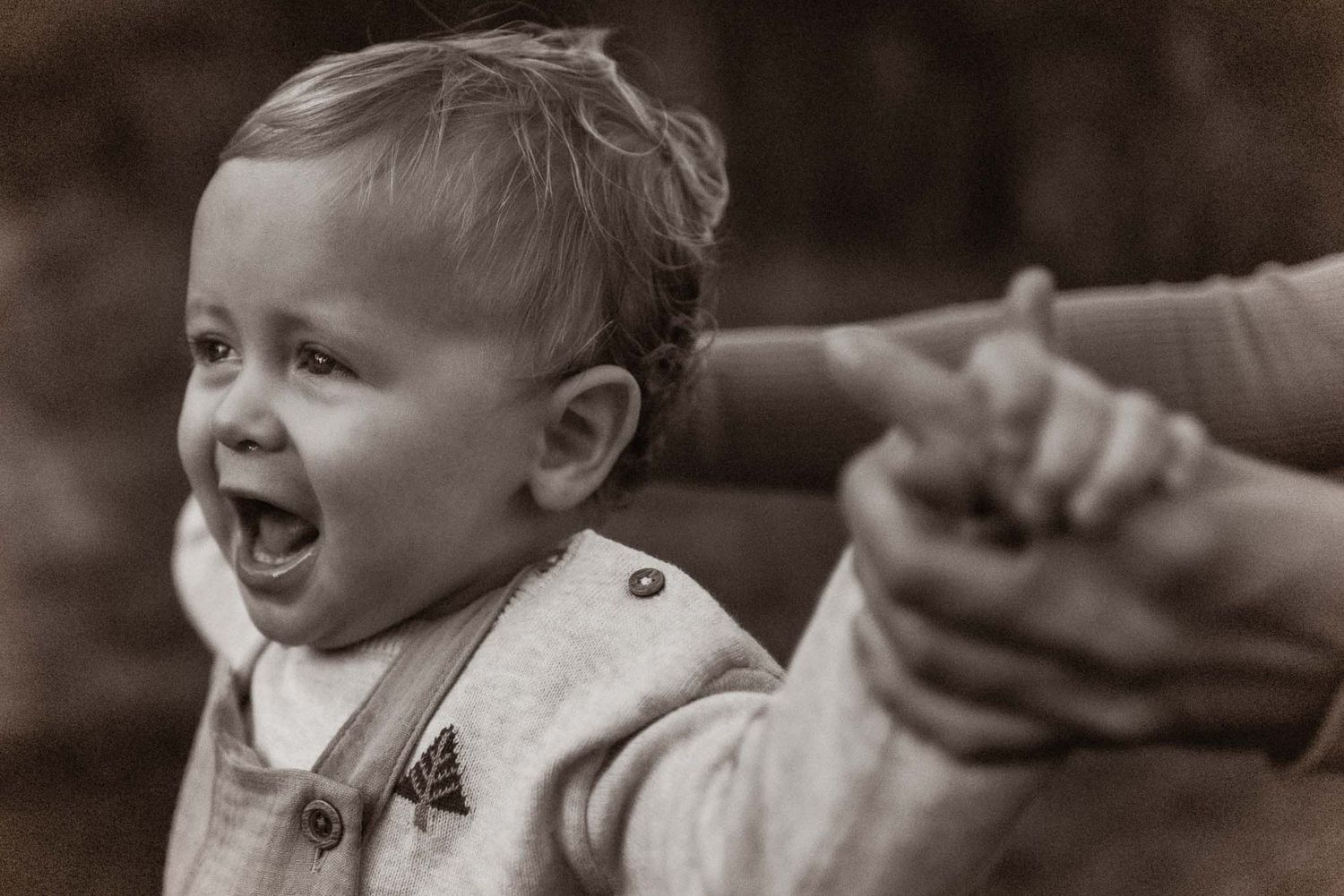 Chorley family photographer