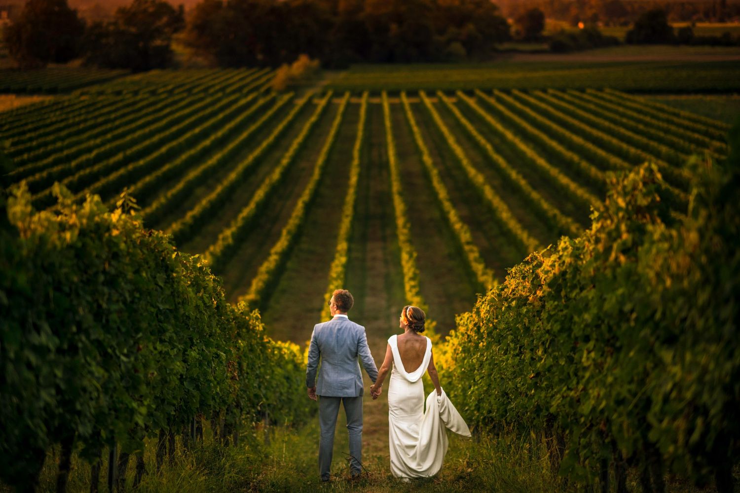 Newlywed couple holds hands while walking through scenic vineyard rows at sunset in wine country.