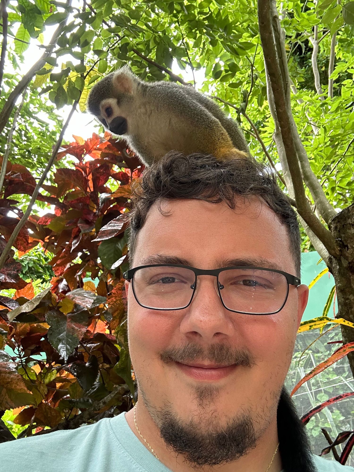 A curious squirrel monkey perches on top of someone wearing glasses in a tropical garden setting with lush foliage.