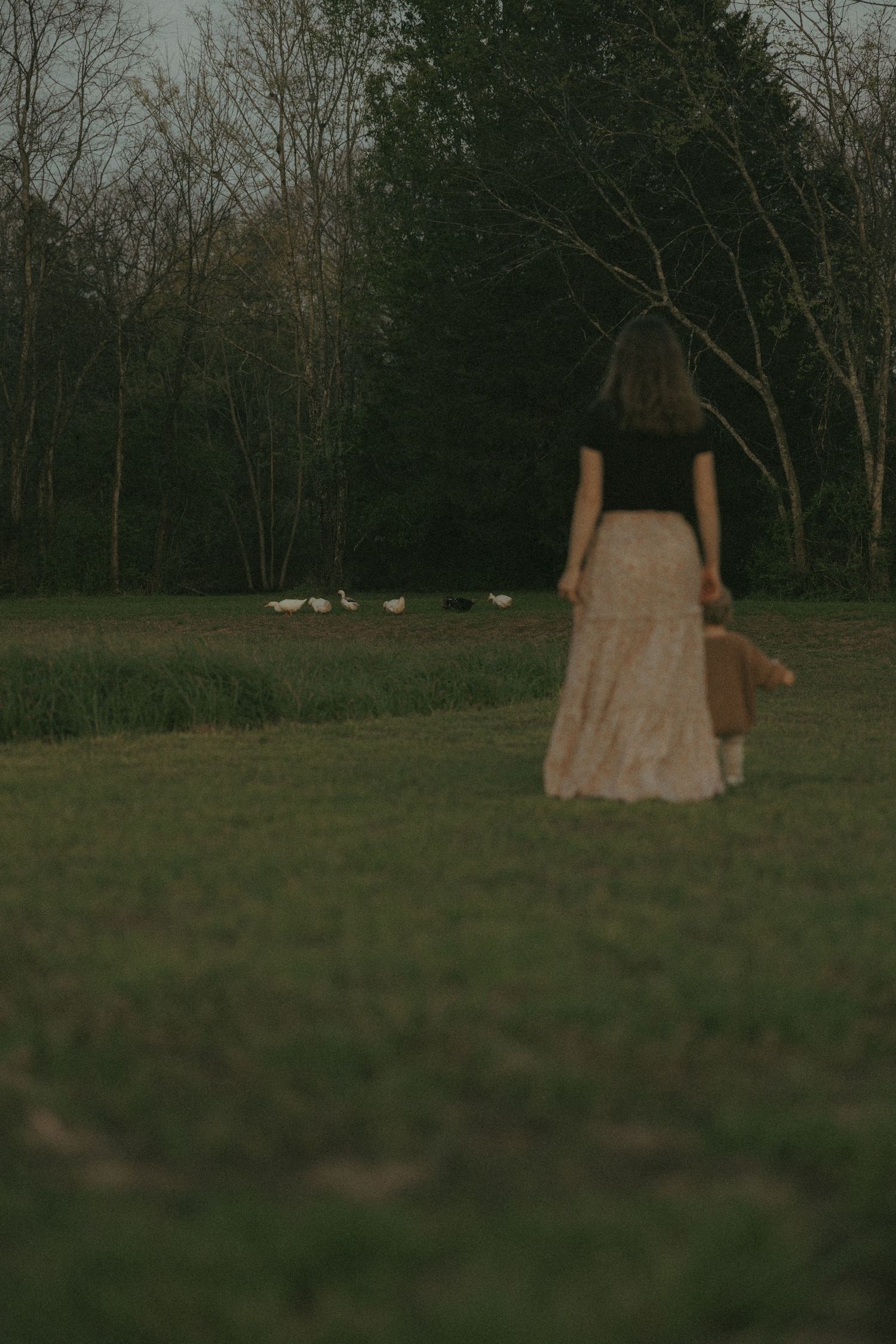 A woman in a black top and floral maxi skirt walks toward geese on a lush green field at dusk.