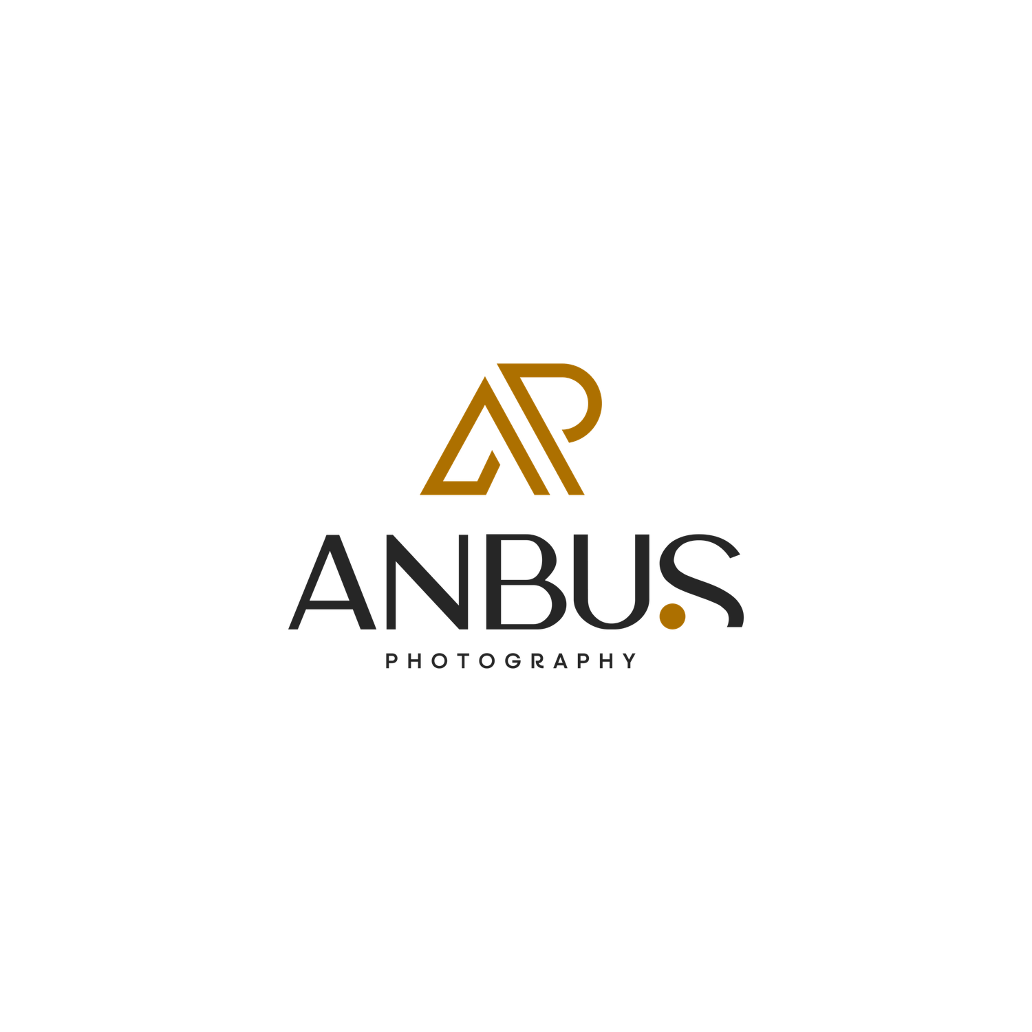 Gold and black Anbus Photography logo featuring stylized AP monogram above bold typography on white background.