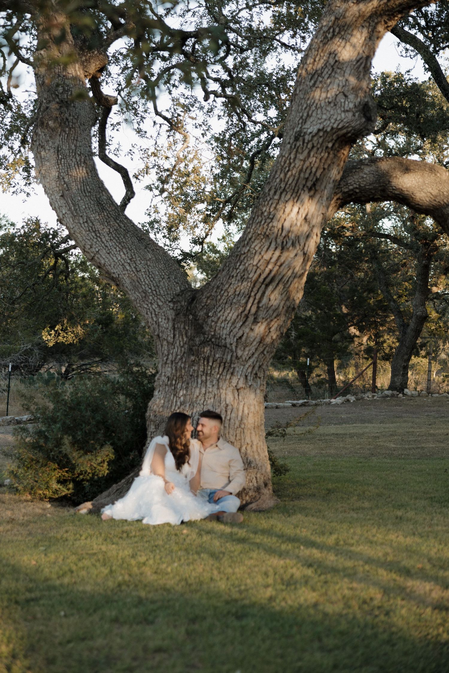 A couple sits together under a majestic old oak tree in a serene outdoor setting during golden hour.
