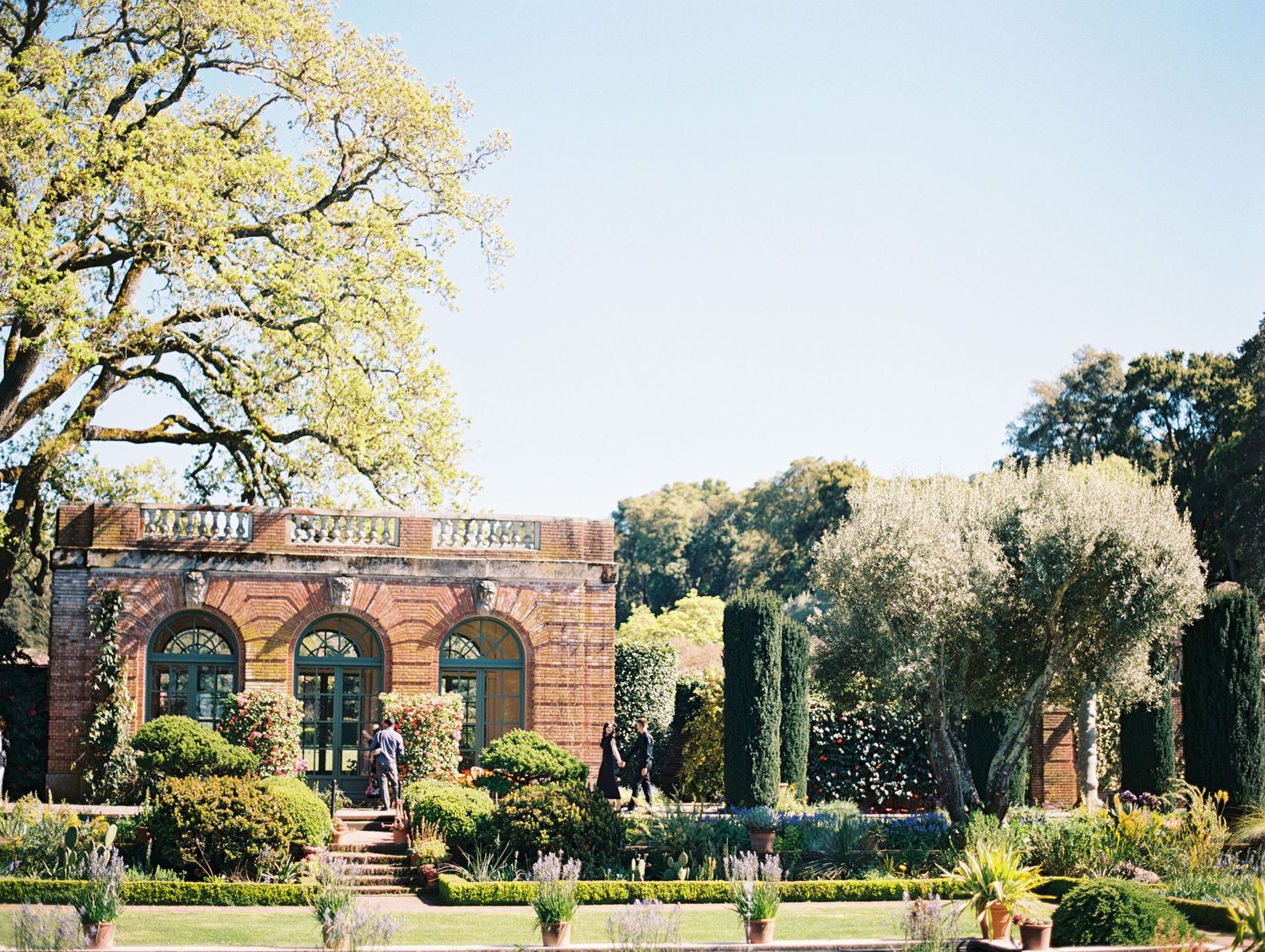 Film photo of couple embracing outdoors with sun flare in Filloli Gardens in the Bay Area