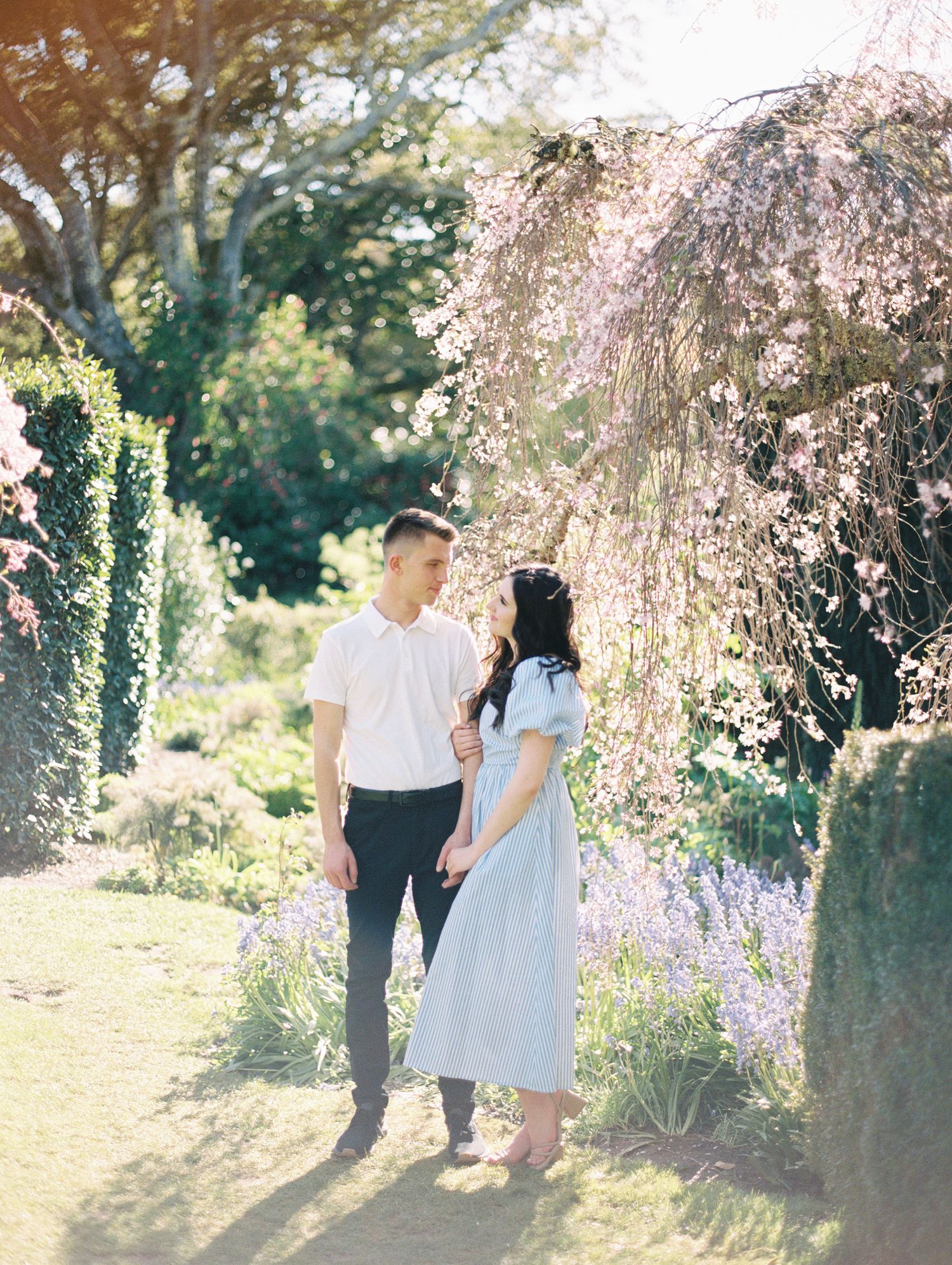 Film photo of couple embracing outdoors with sun flare in Filloli Gardens in the Bay Area