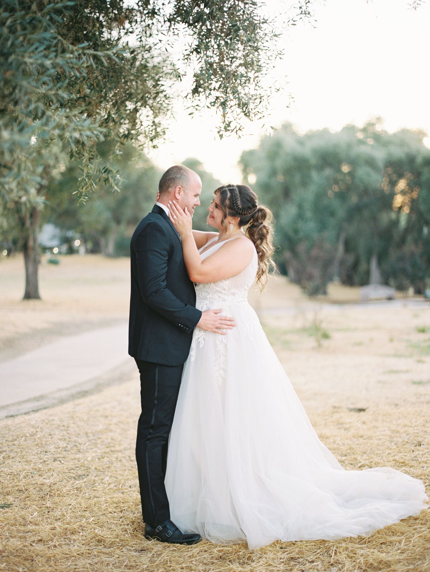 Couple sharing a moment under an olive tree