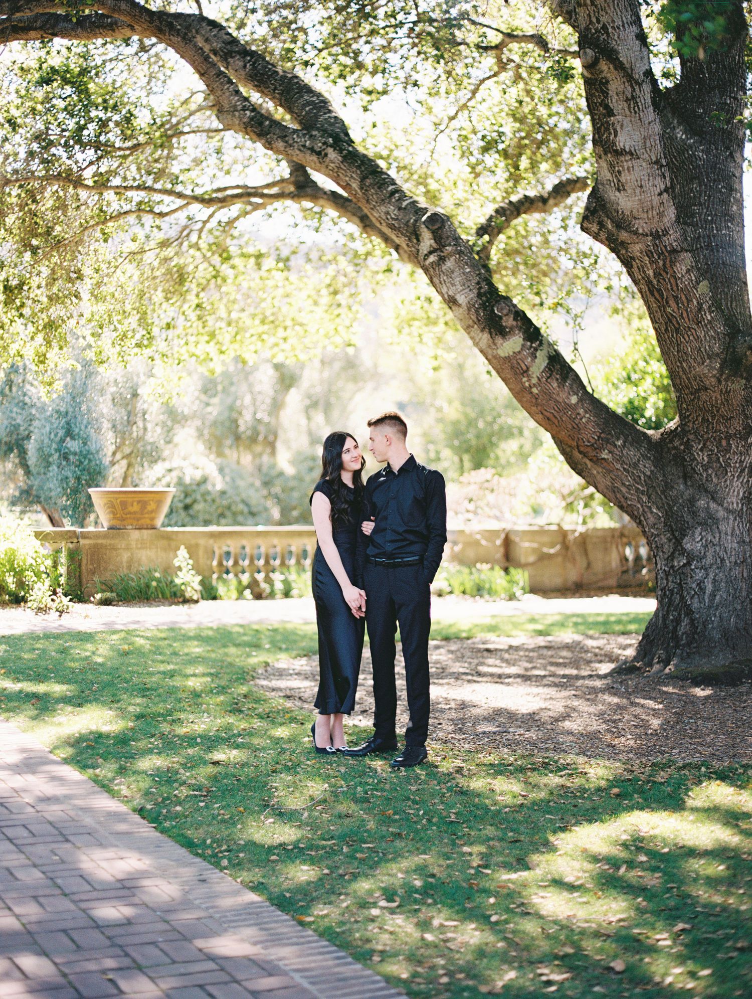 Film photo of couple embracing outdoors with sun flare in Filloli Gardens in the Bay Area