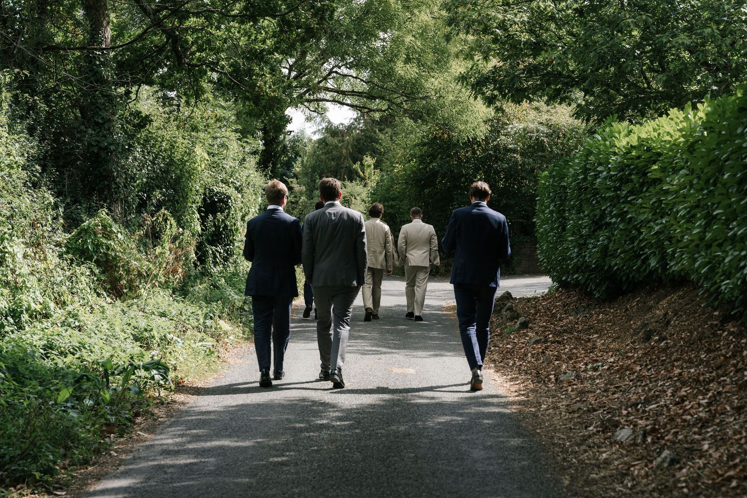 People walking along a tree-lined path in a park setting on a sunny day.