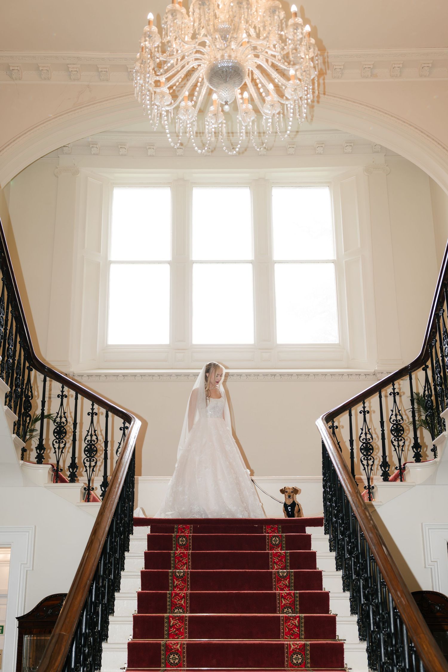 Elegant white staircase with red carpet and crystal chandeliers in a luxurious wedding venue interior.
