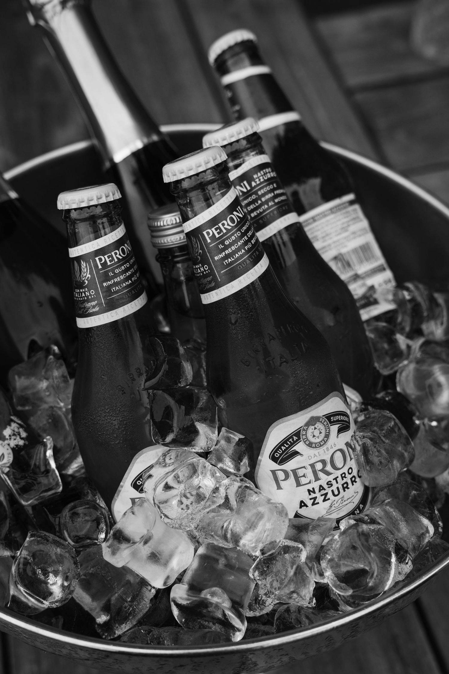Black and white photo of Peroni beer bottles chilling in ice bucket at bar or restaurant.
